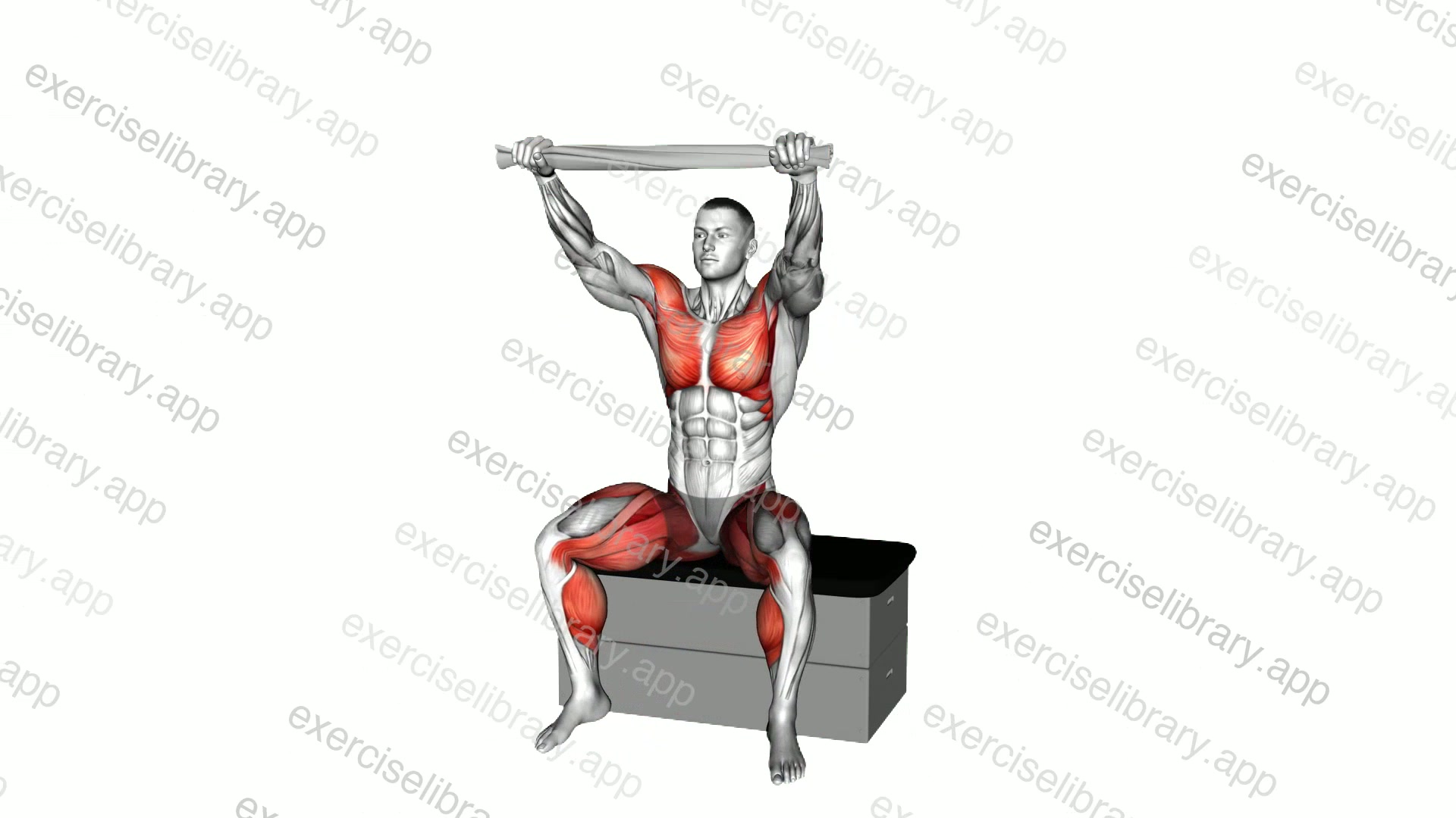 Seated Jack with a Towel on a Padded Stool demonstration