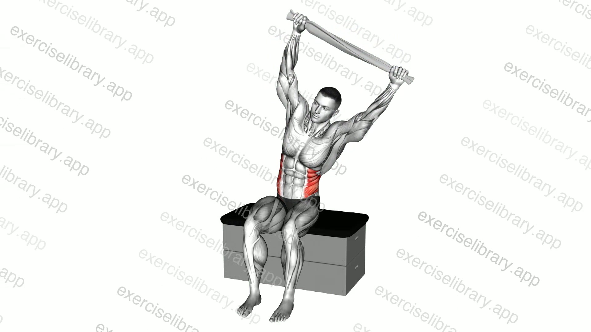 Seated Side Bend with a Towel on a Padded Stool demonstration