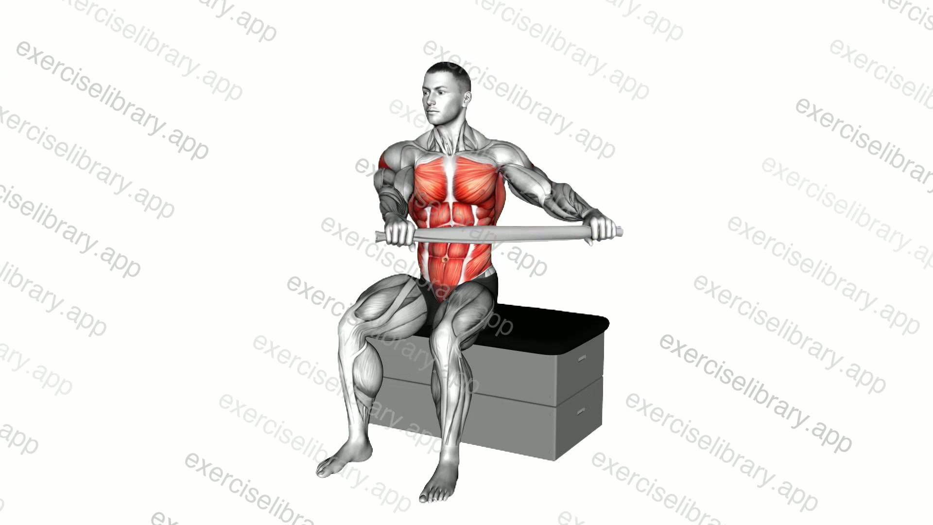 Seated Twist with a Towel on a Padded Stool demonstration