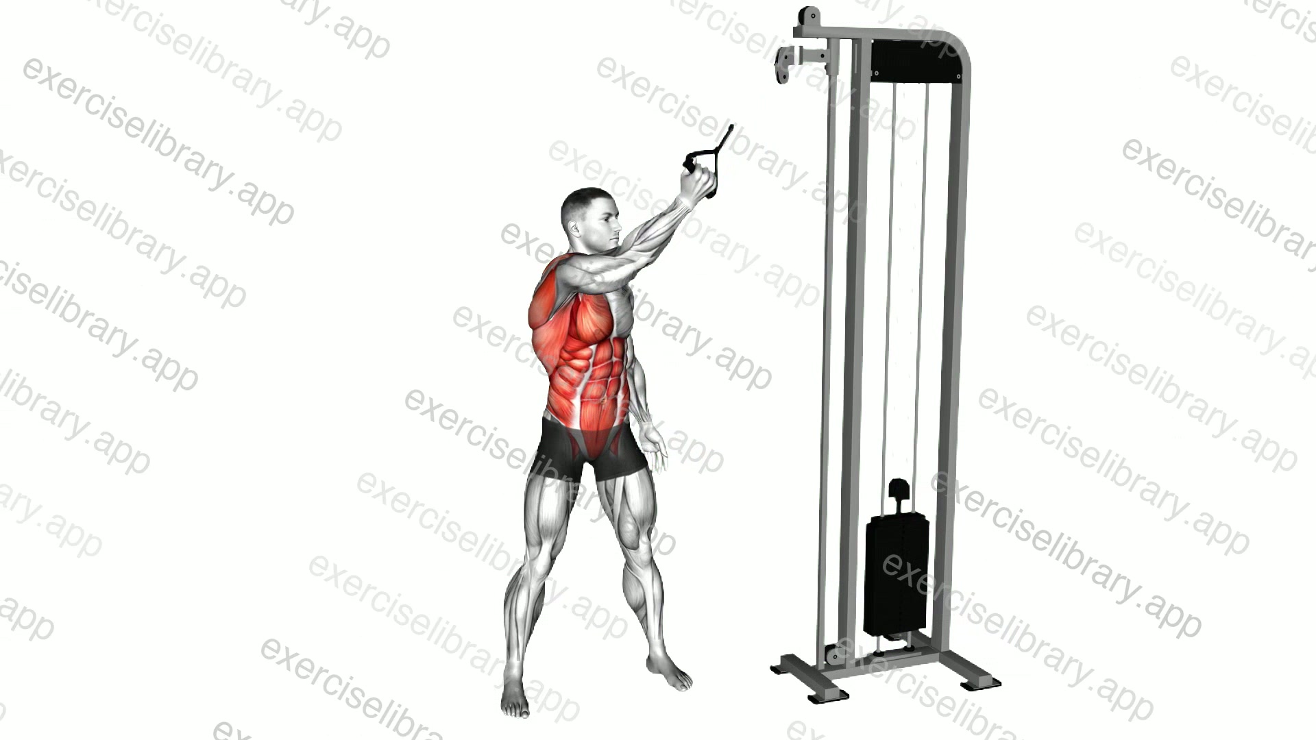 Cable Single Arm High to Low Woodchopper demonstration