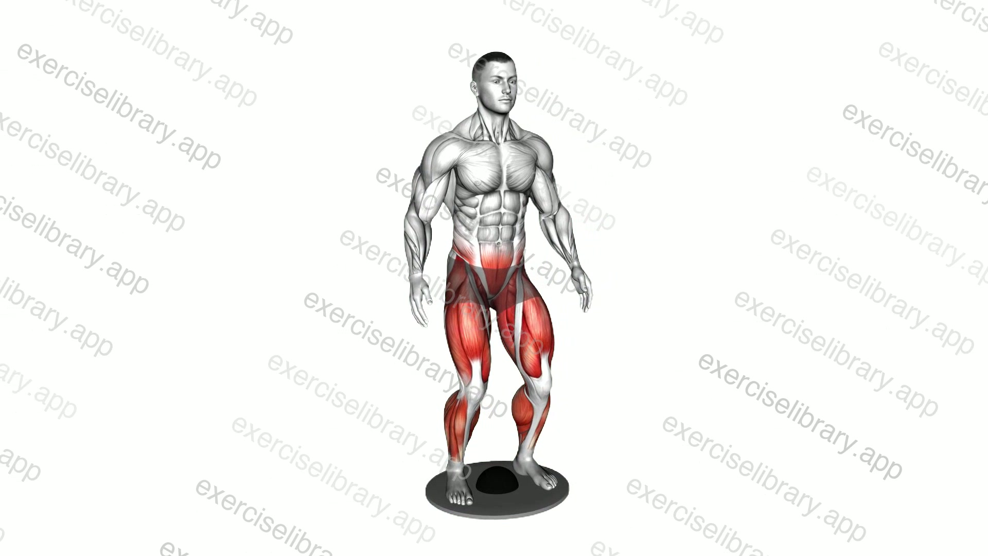 Balance Plate Standing demonstration