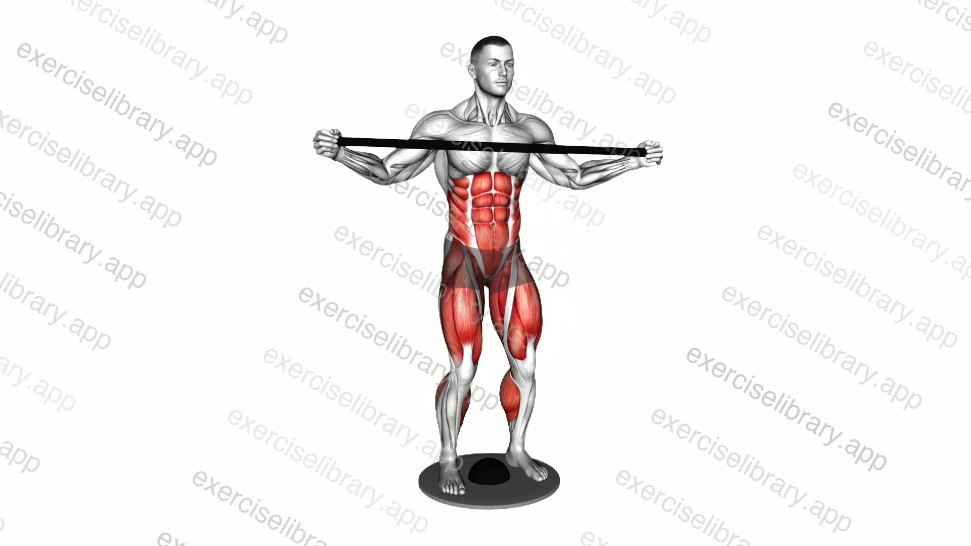 Balance Plate Standing Twist demonstration