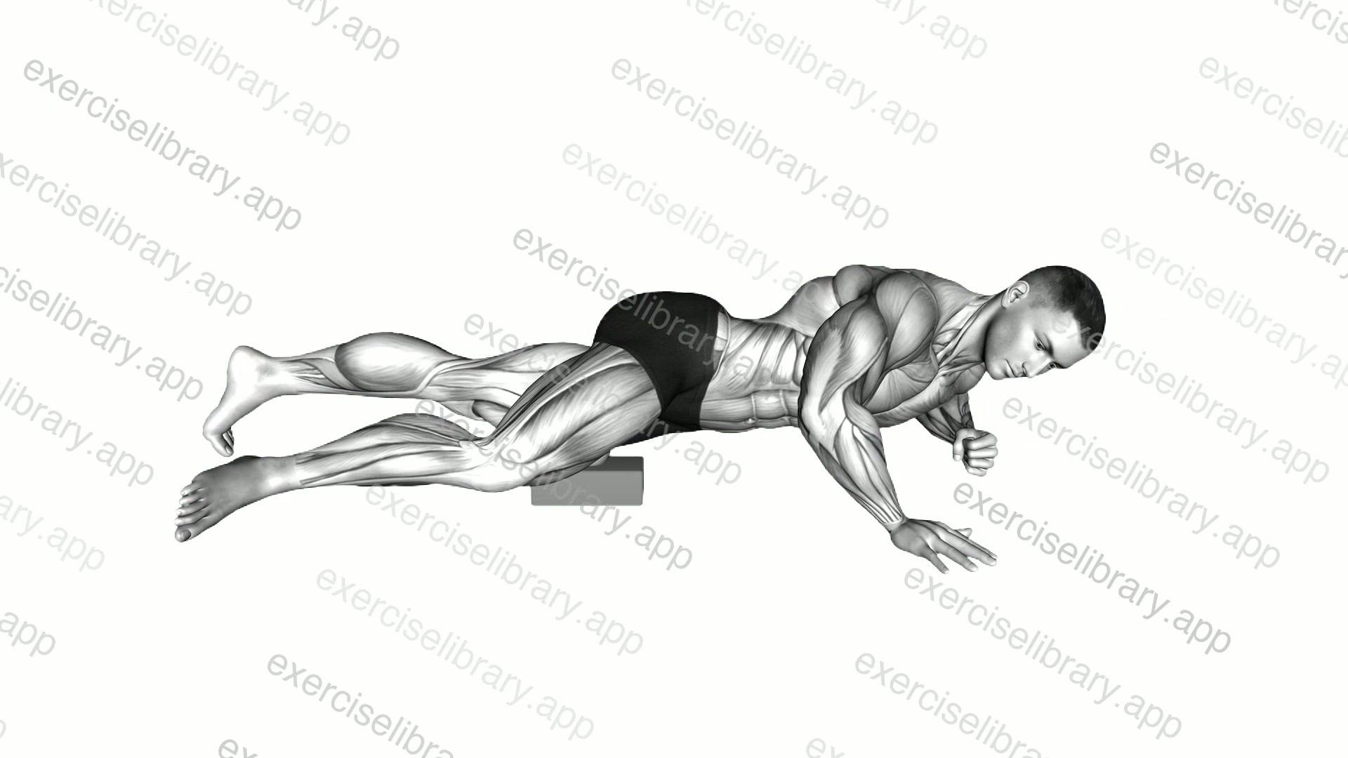 Roll Ball Side Lying Inner Thigh Active demonstration