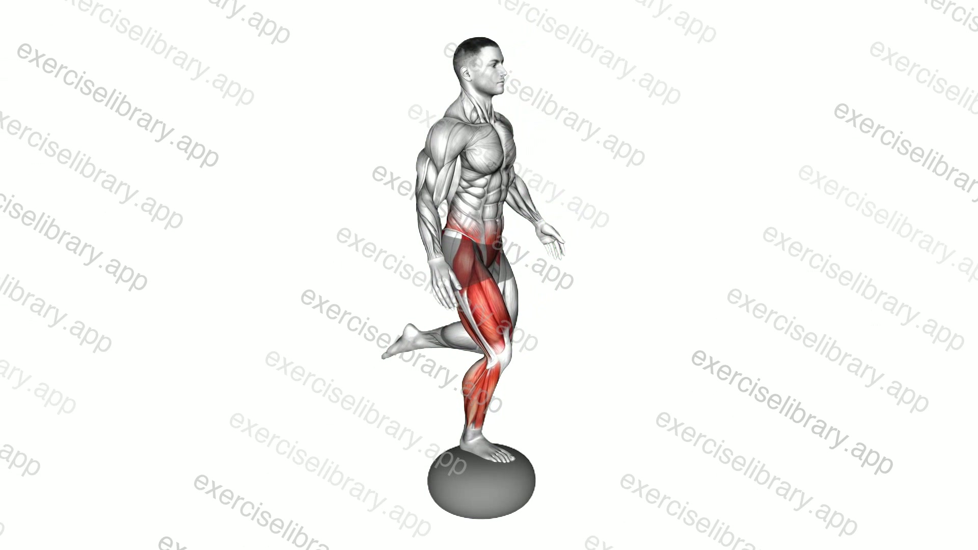 Air Pillow Balance Counterbalanced Skater Squat demonstration