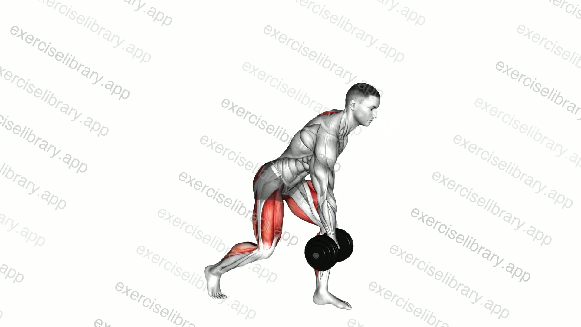 Dumbbell Single Leg Deadlift demonstration