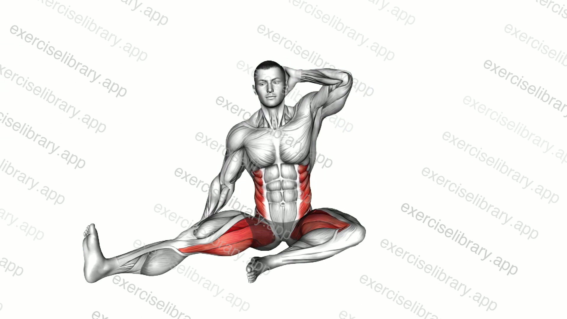 Sitting Side Bend Stretch demonstration