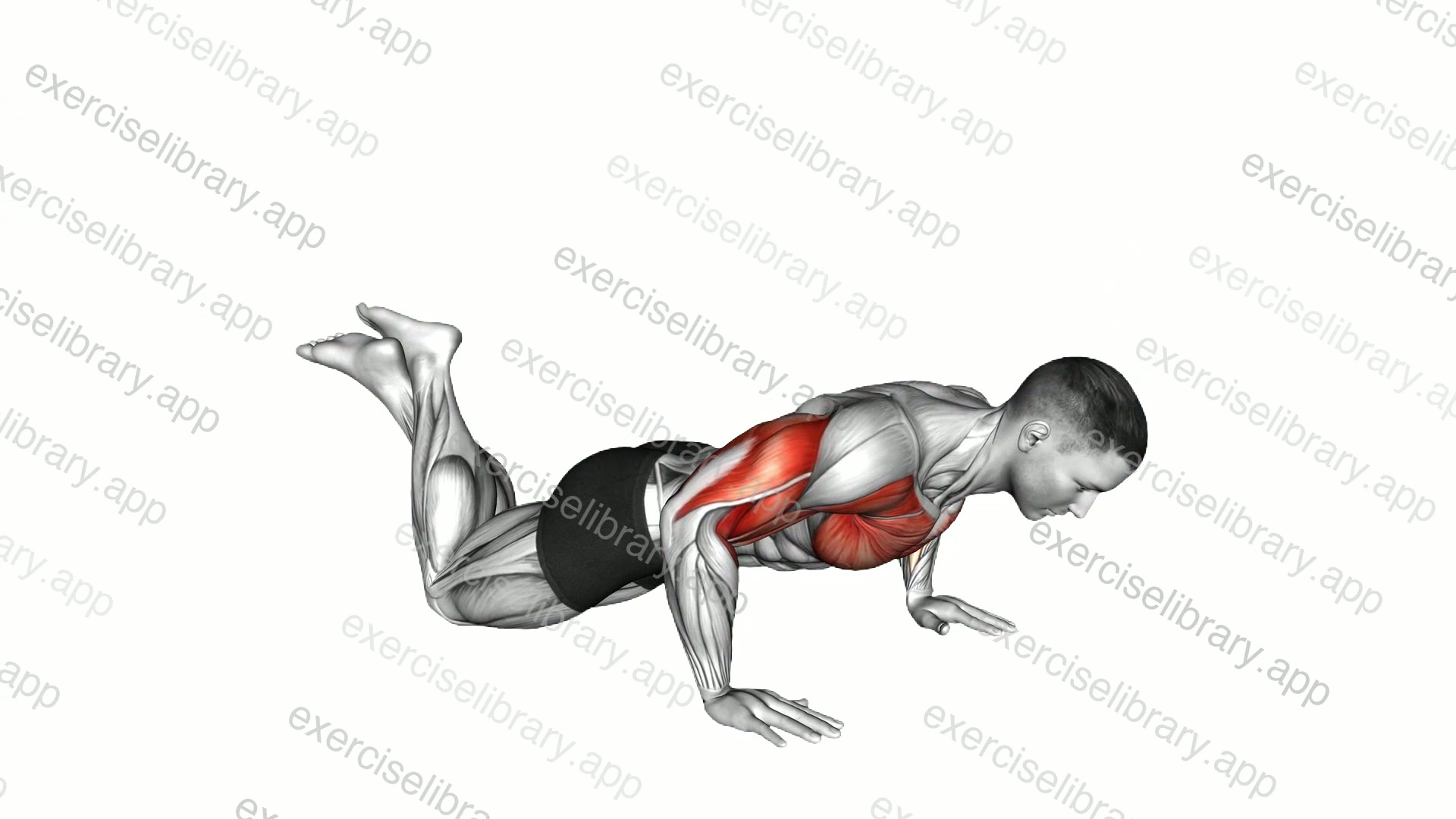 Kneeling Push-up Jump demonstration