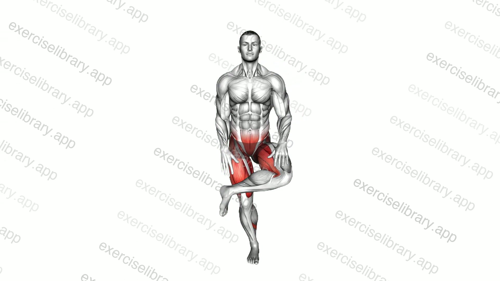 Standing Hip Stretch demonstration