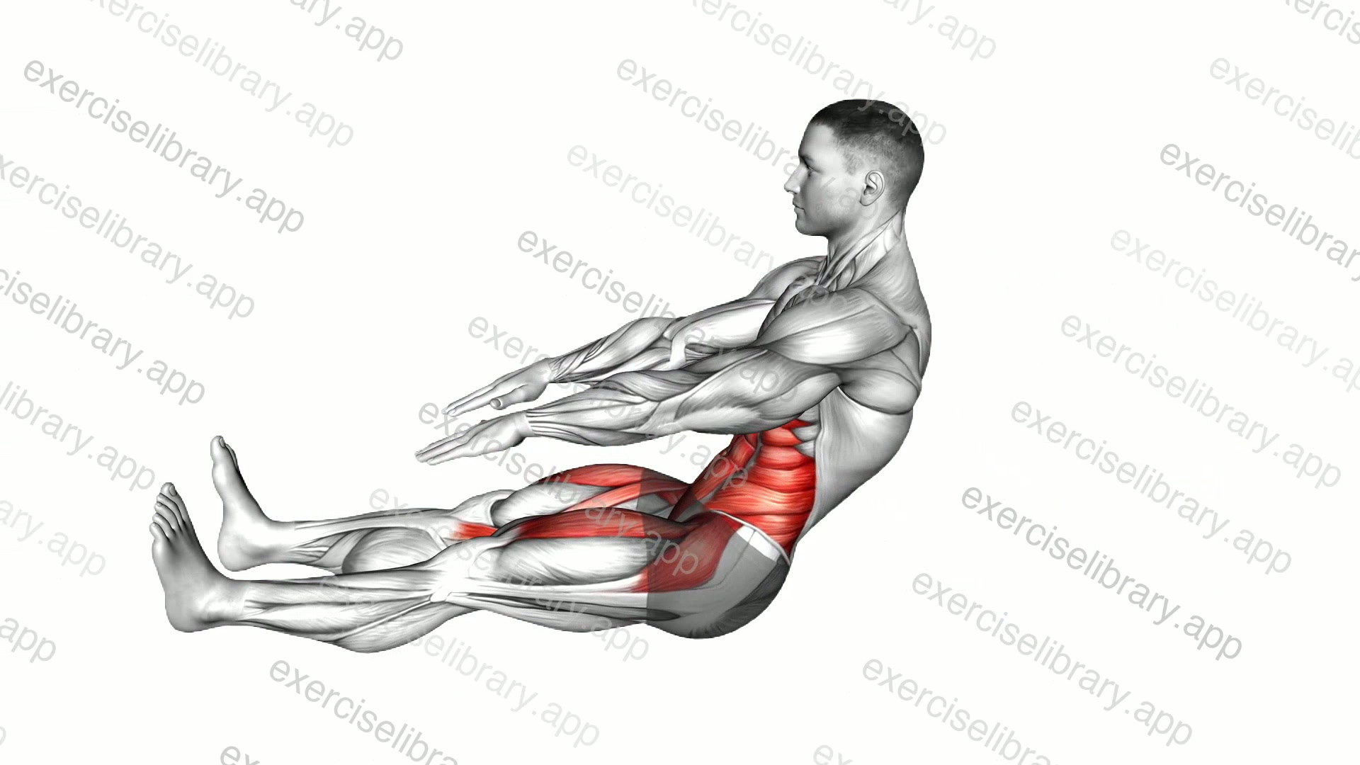 Straight Leg Opposite Sit-up demonstration