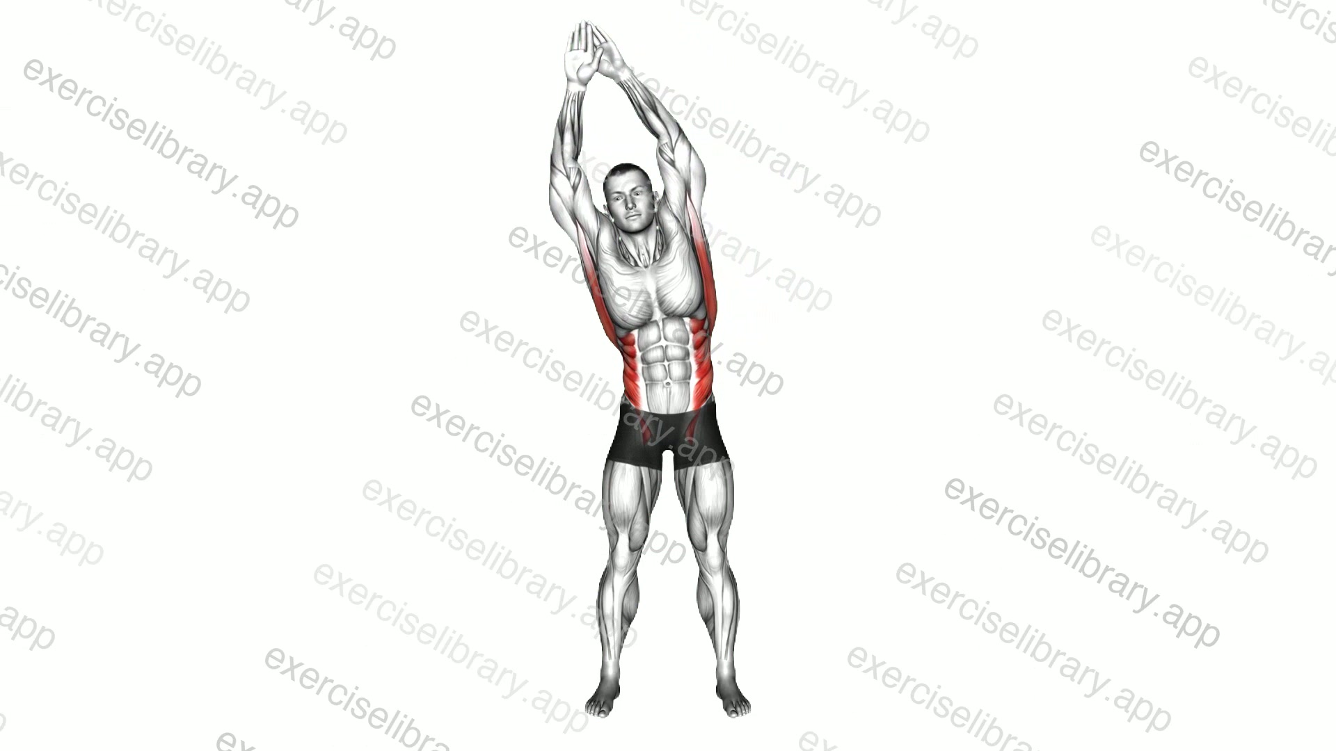 Standing Side Bend Stretch demonstration
