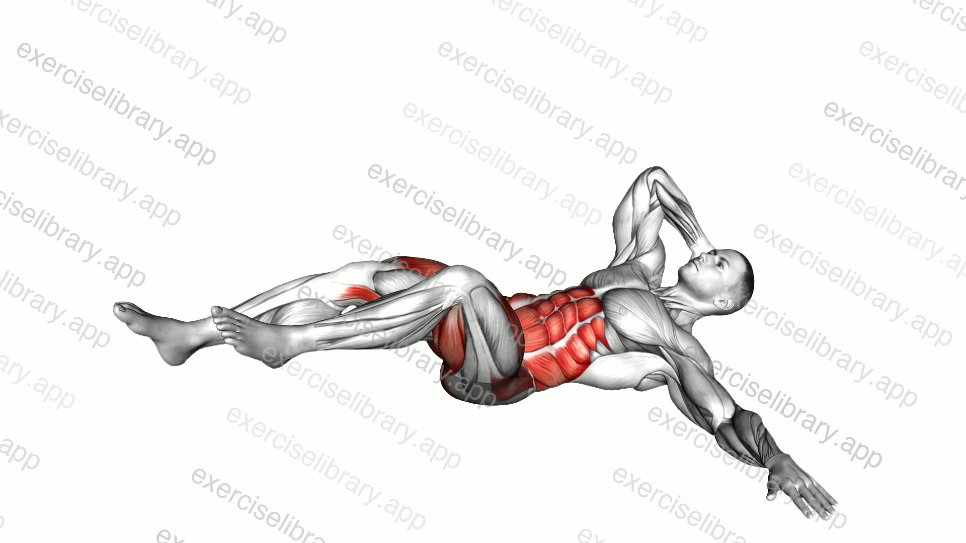 Side Lying Cycle Oblique Tuck demonstration