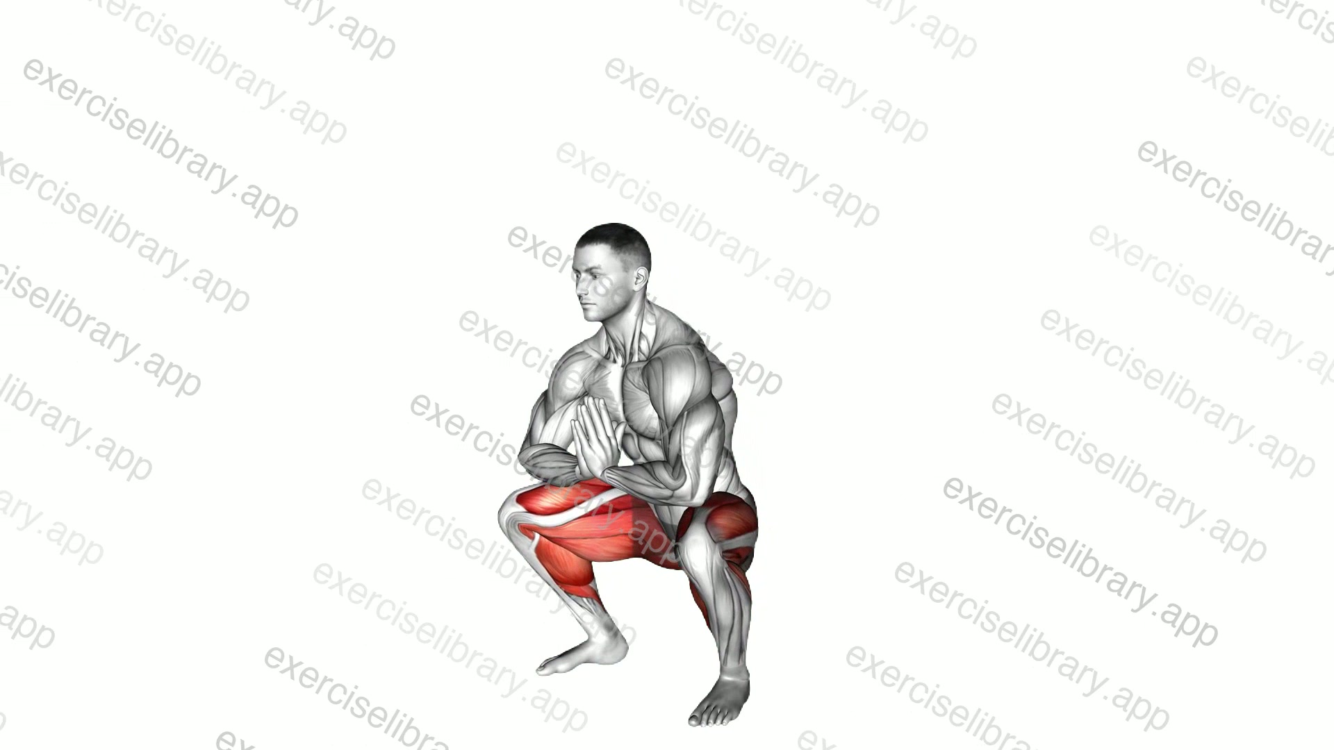 Deep Prisoner Squat demonstration