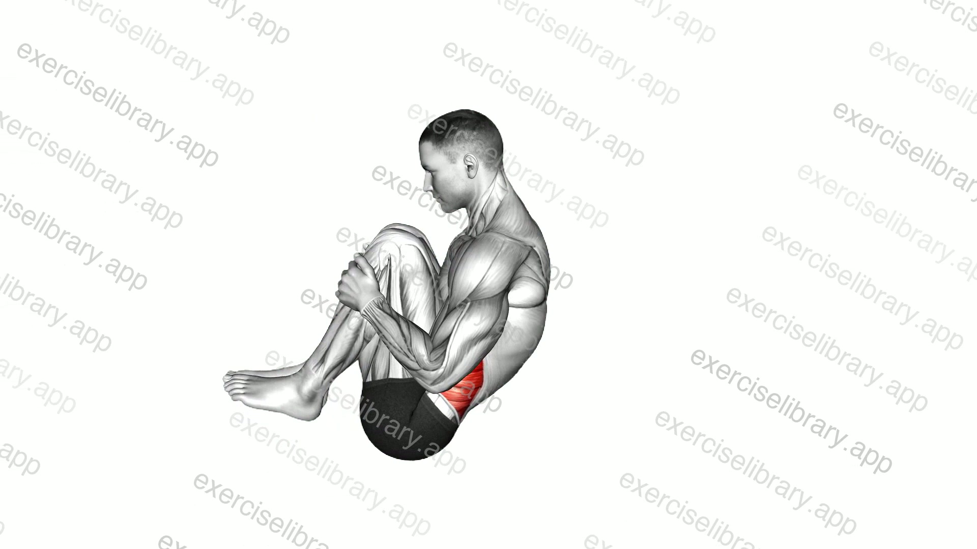 Spine Rolling demonstration