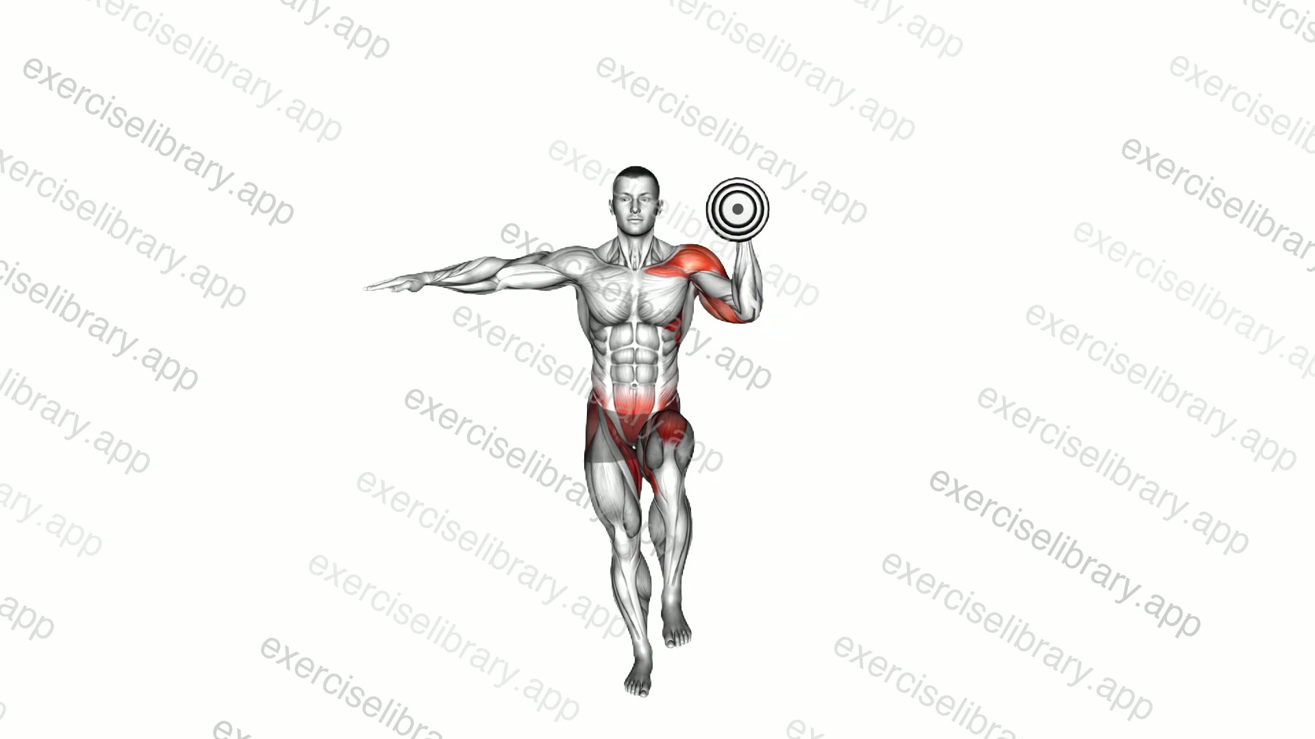 Dumbbell Single Leg Standing Shoulder Press demonstration