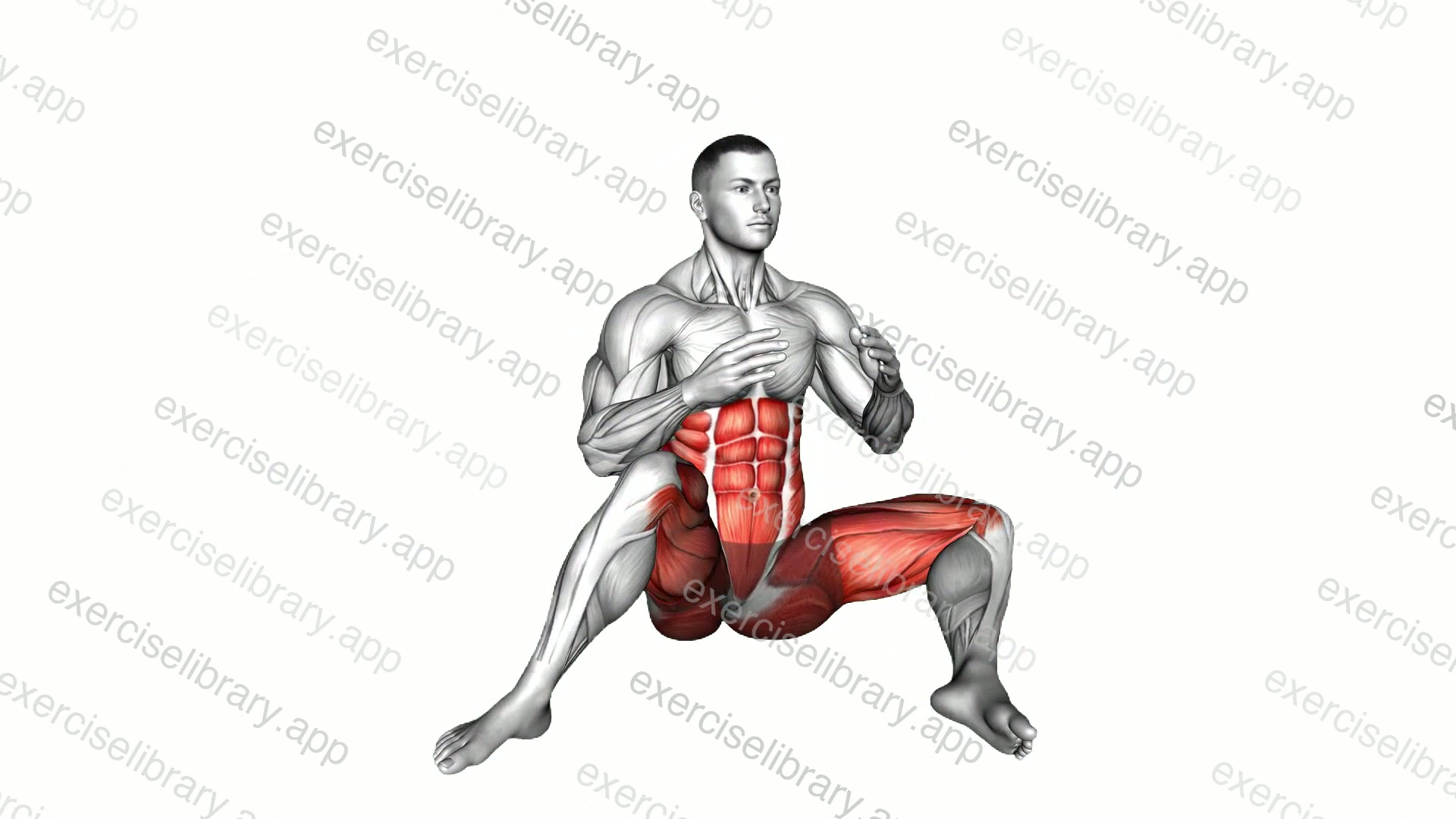 Exercise Library: 8,000+ Exercises by Muscle & Equipment | ExerciseLibrary