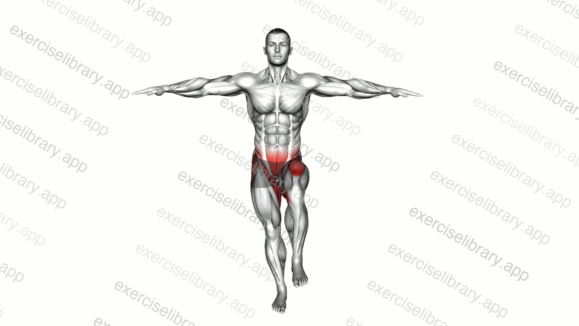 Single Leg Support Balance demonstration