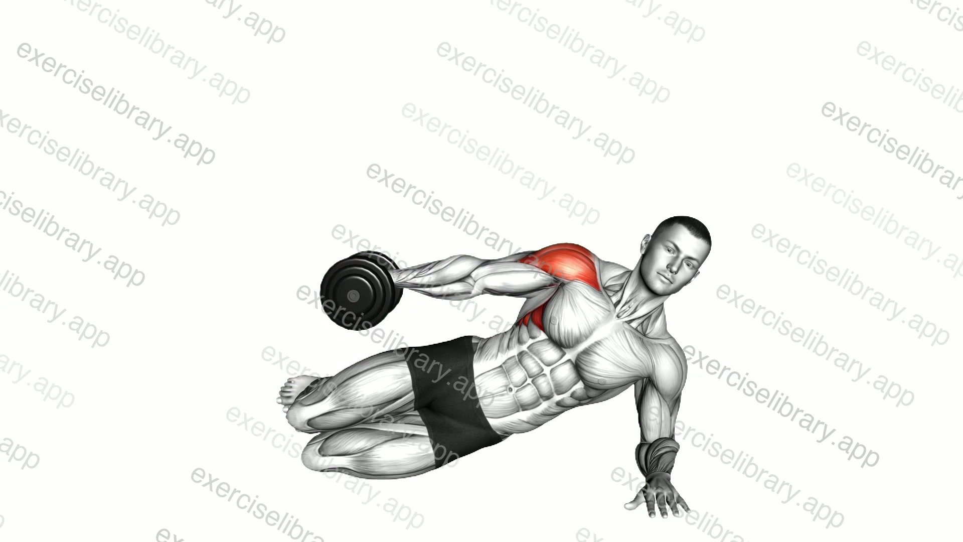 Dumbbell Side Lying Lateral Raise demonstration