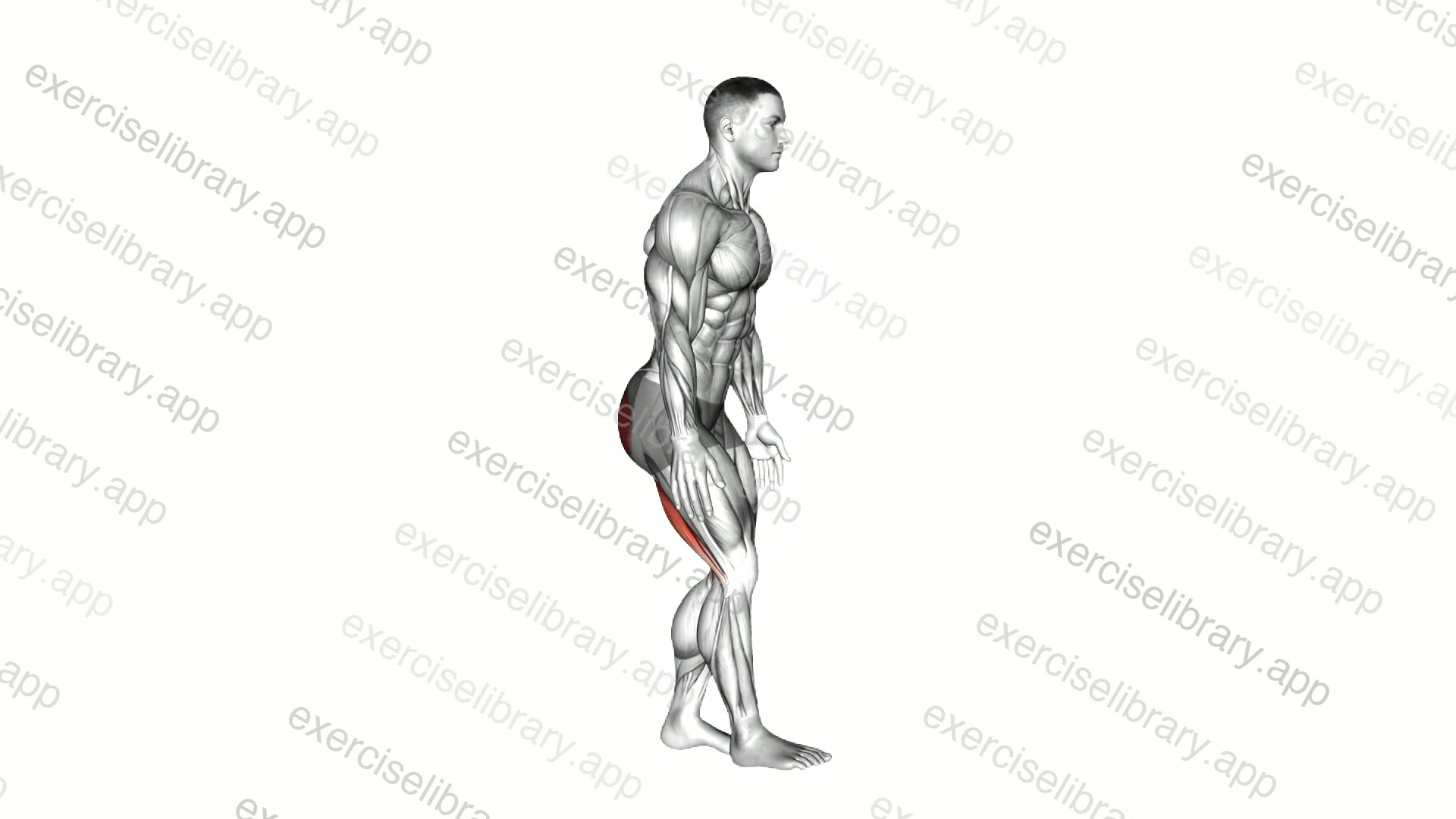 Single Leg Forward Bend demonstration