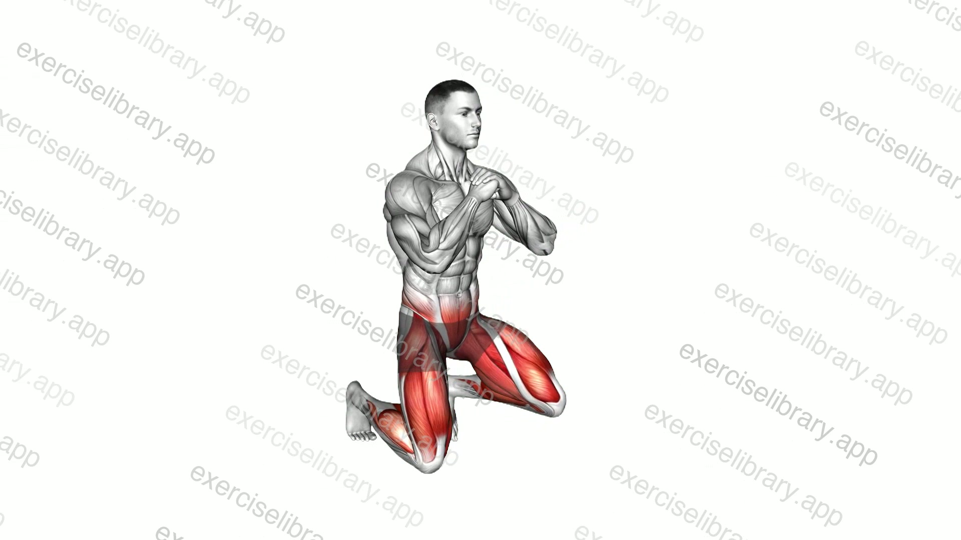 Kneeling to Standing Squat demonstration