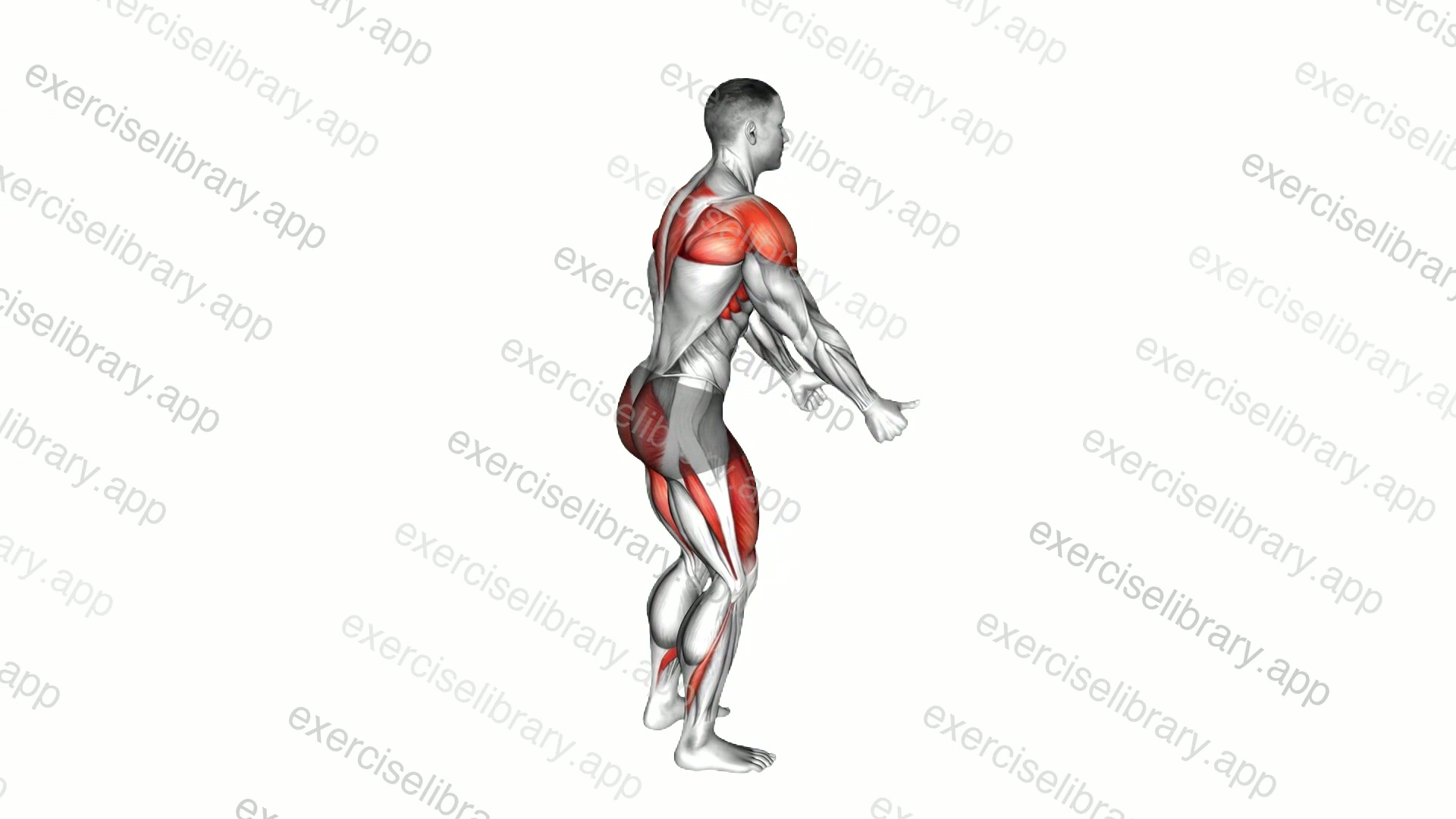 Prone I Stretch demonstration