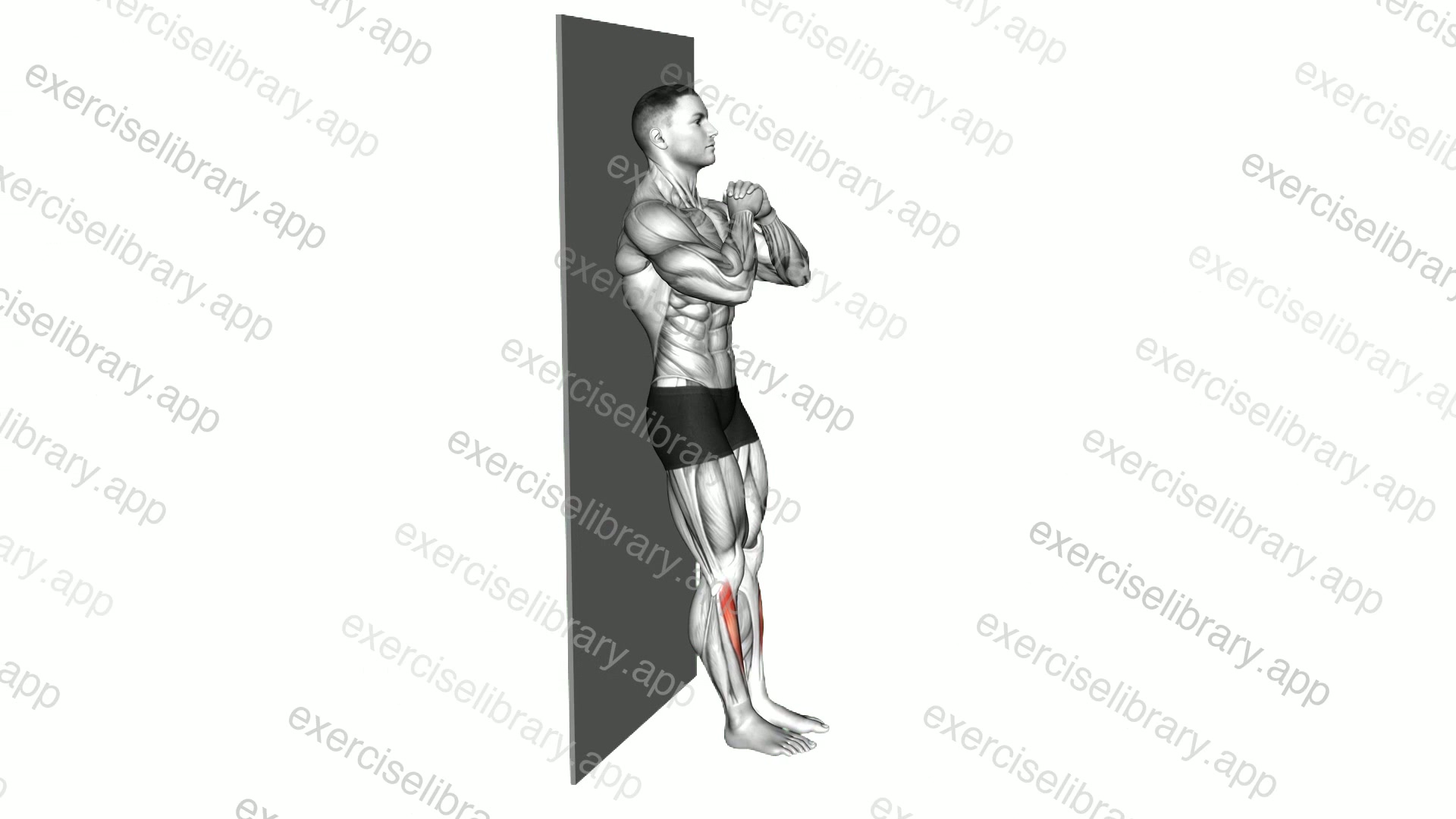 Bodyweight Tibialias Raise Wall Supported demonstration