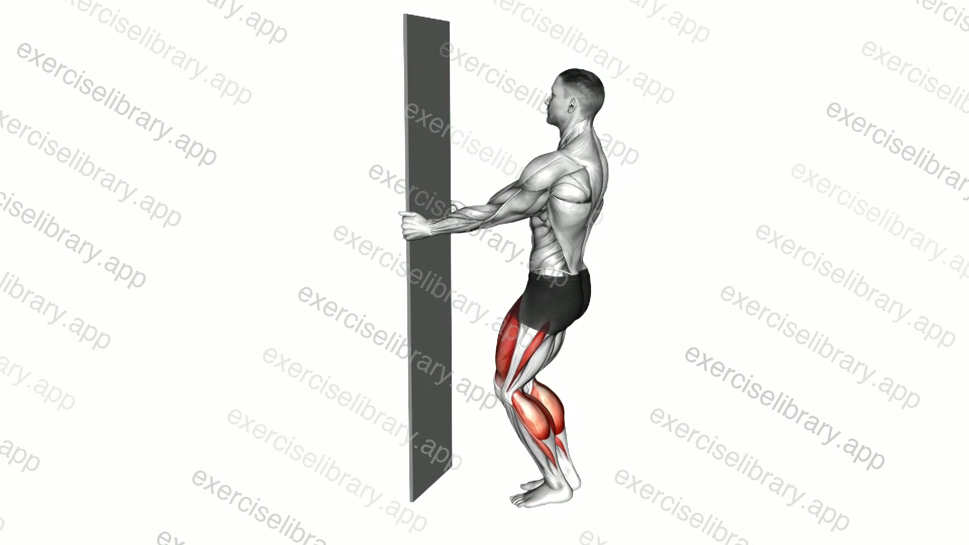 Bodyweight Half Sissy Squat Wall Supported demonstration