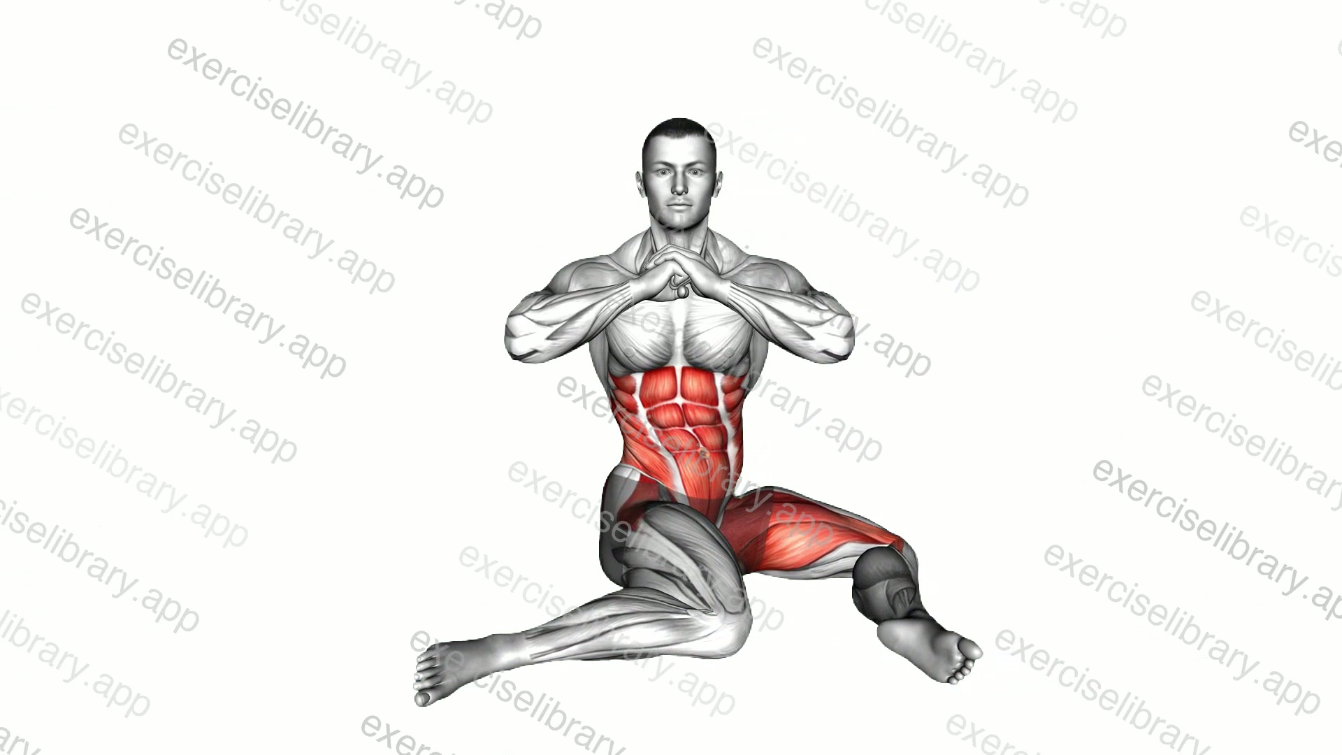 Exercise Library: 8,000+ Exercises by Muscle & Equipment | ExerciseLibrary