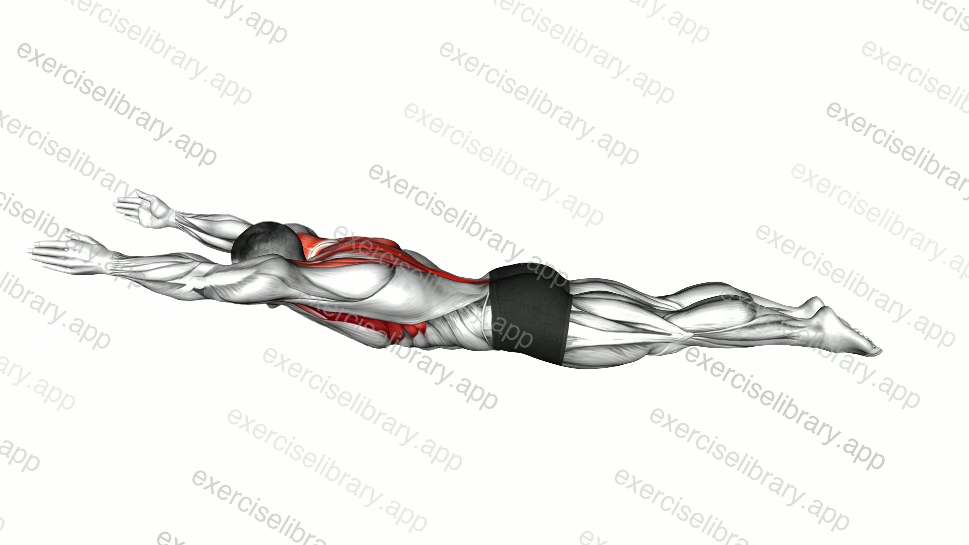 Lying Prone Y to T to W demonstration