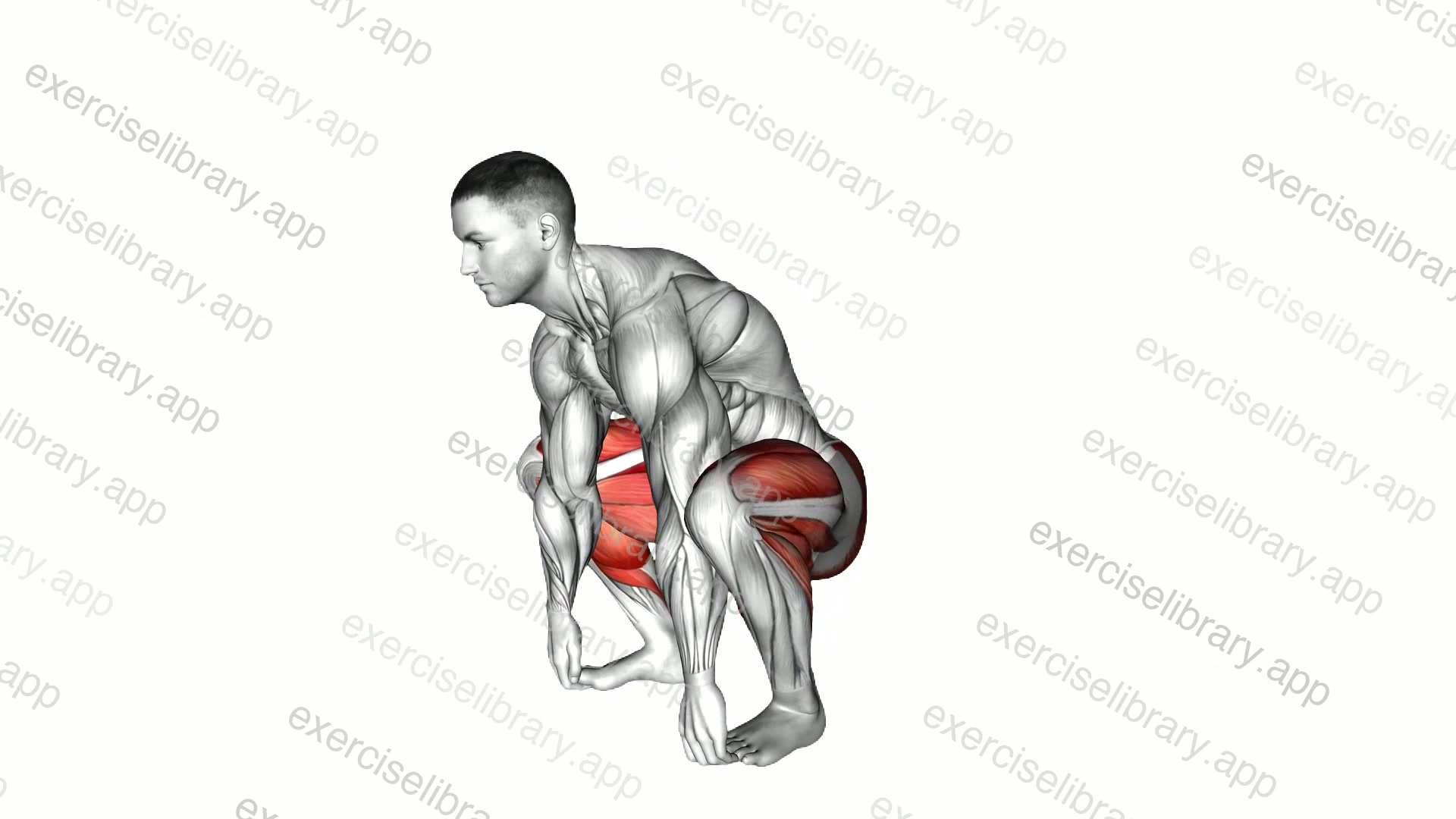 Squat to Straddle demonstration