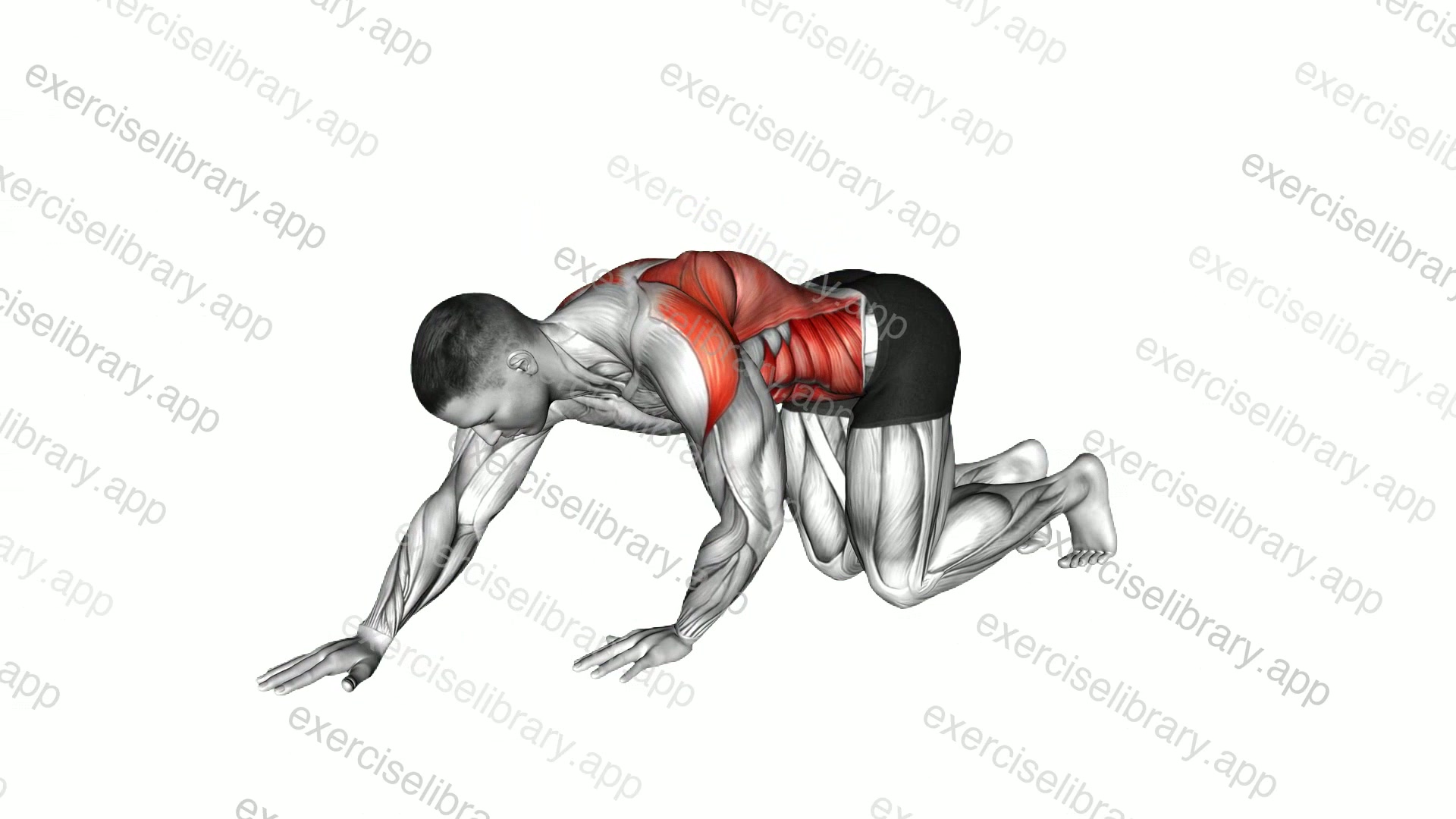 Kneeling Reach and Thread demonstration