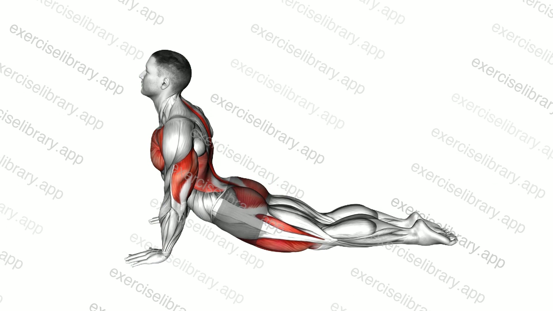 Cobra to Child Pose demonstration