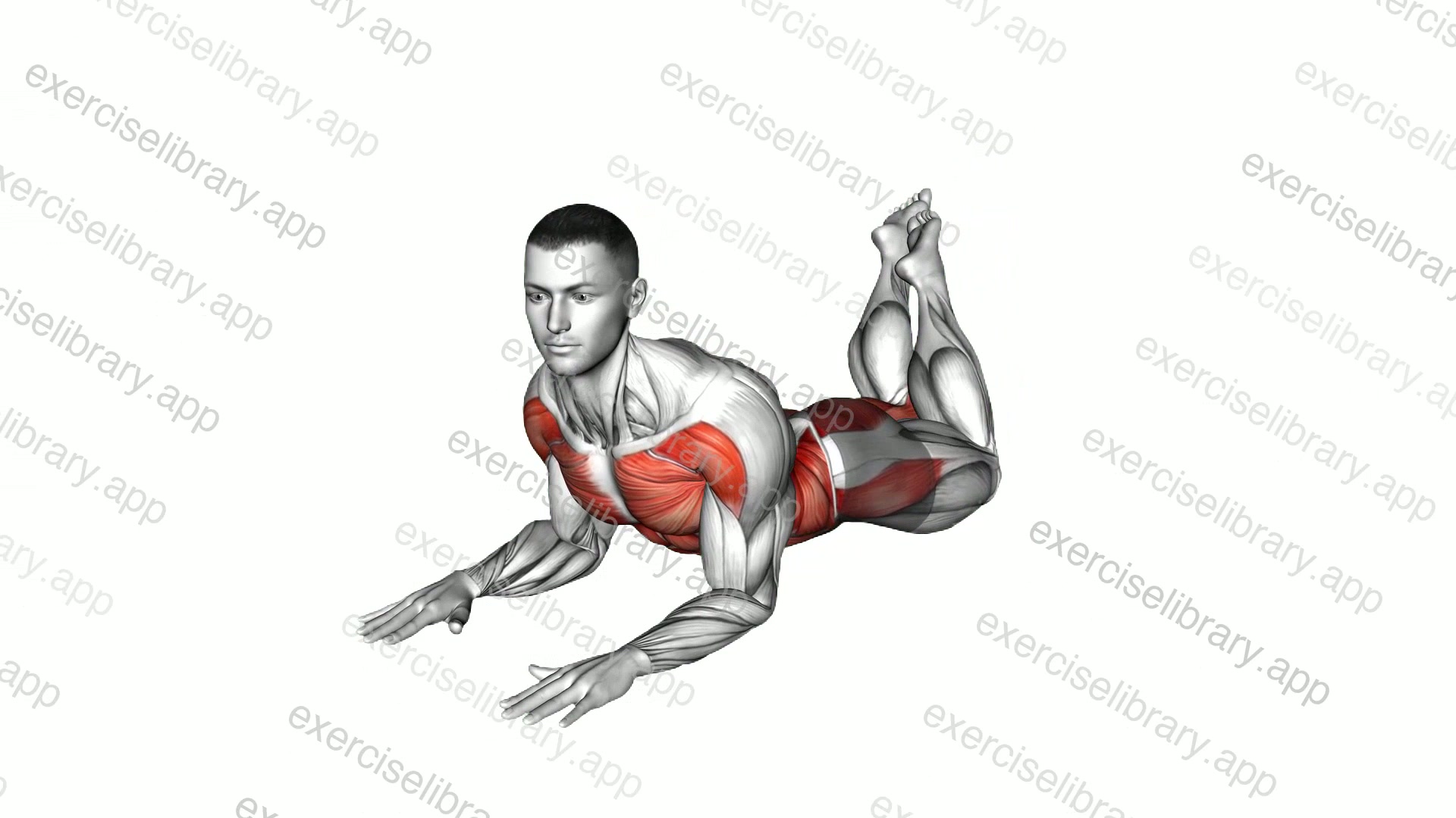 Sphinx Heel Drop demonstration