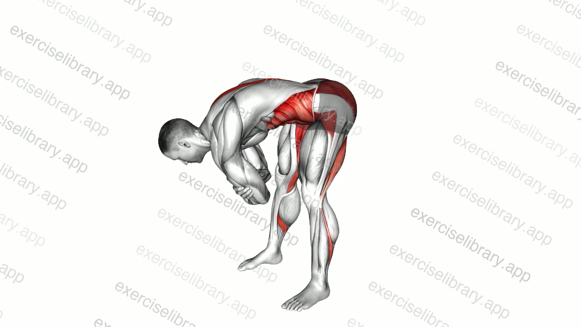 Forward Fold and Rock demonstration