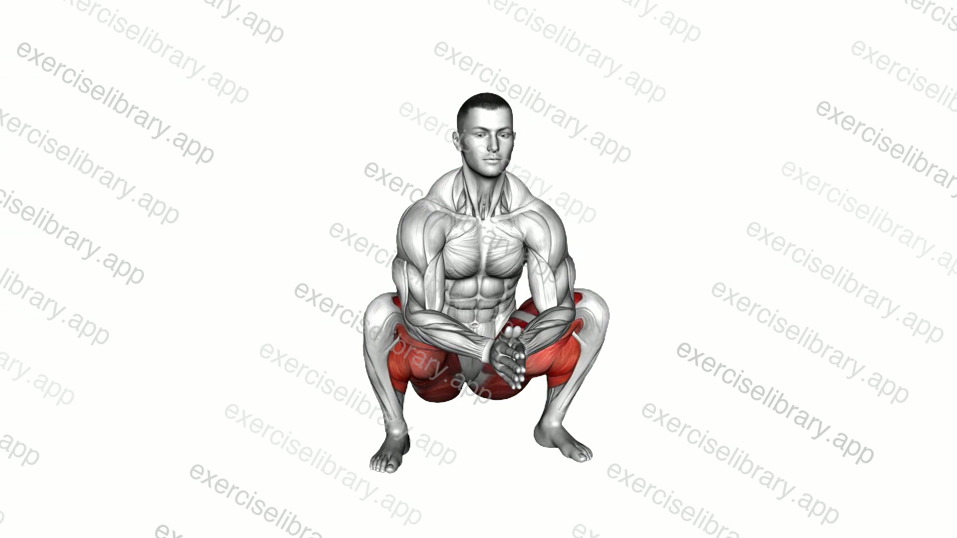 Push Knees Out demonstration