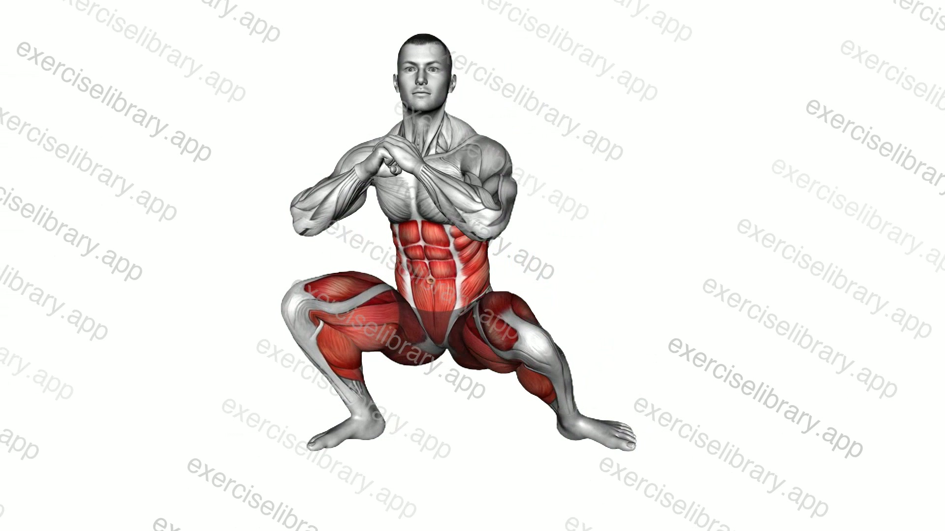 Dynamic Knee Drop demonstration