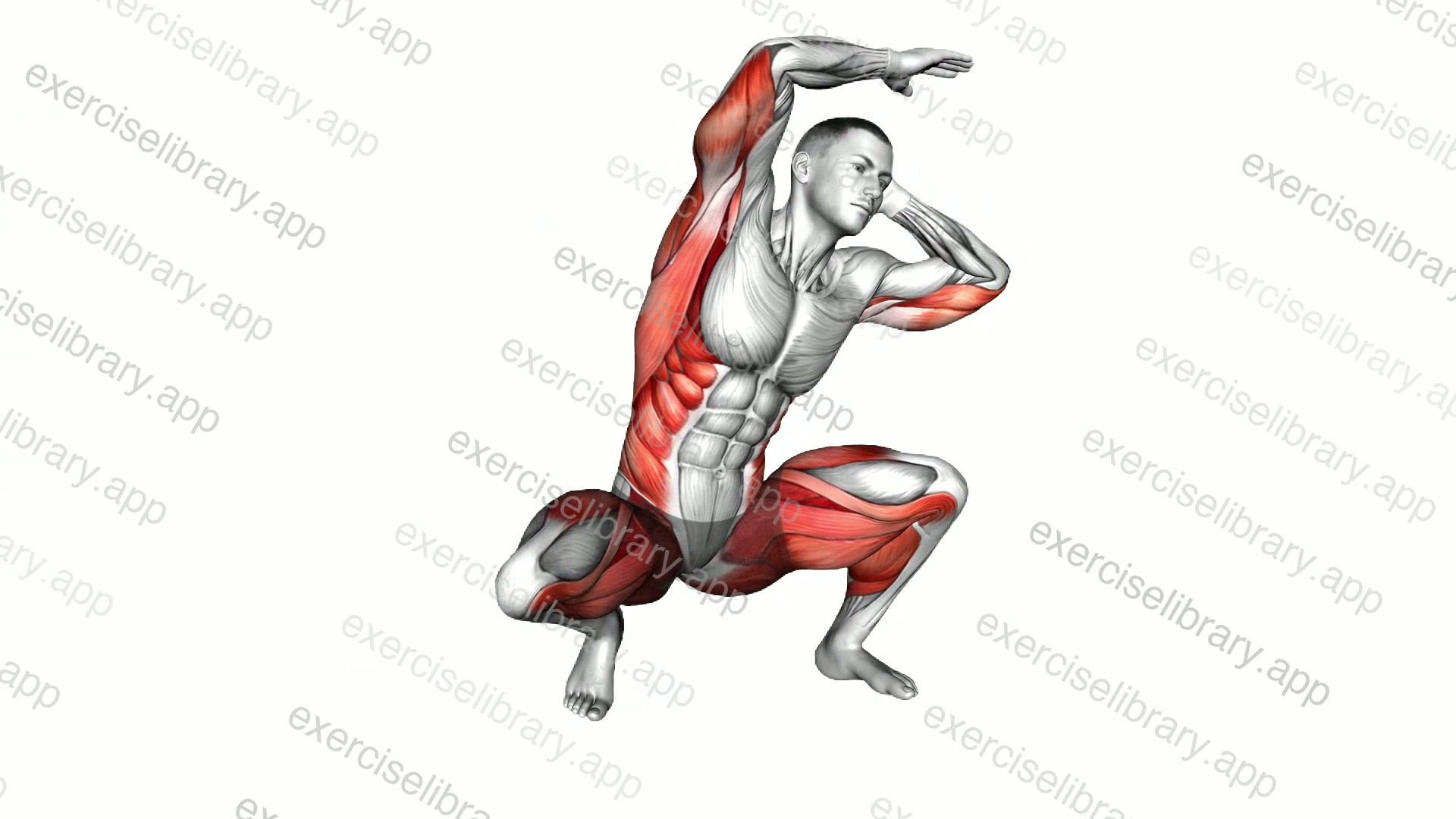 Deep Squat Turn Knee Tap demonstration