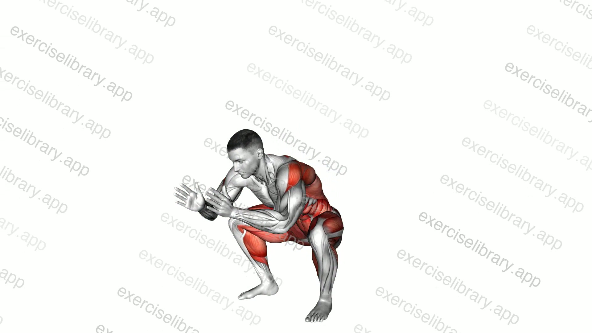 Deep Squat Reach Forward Reach-up demonstration