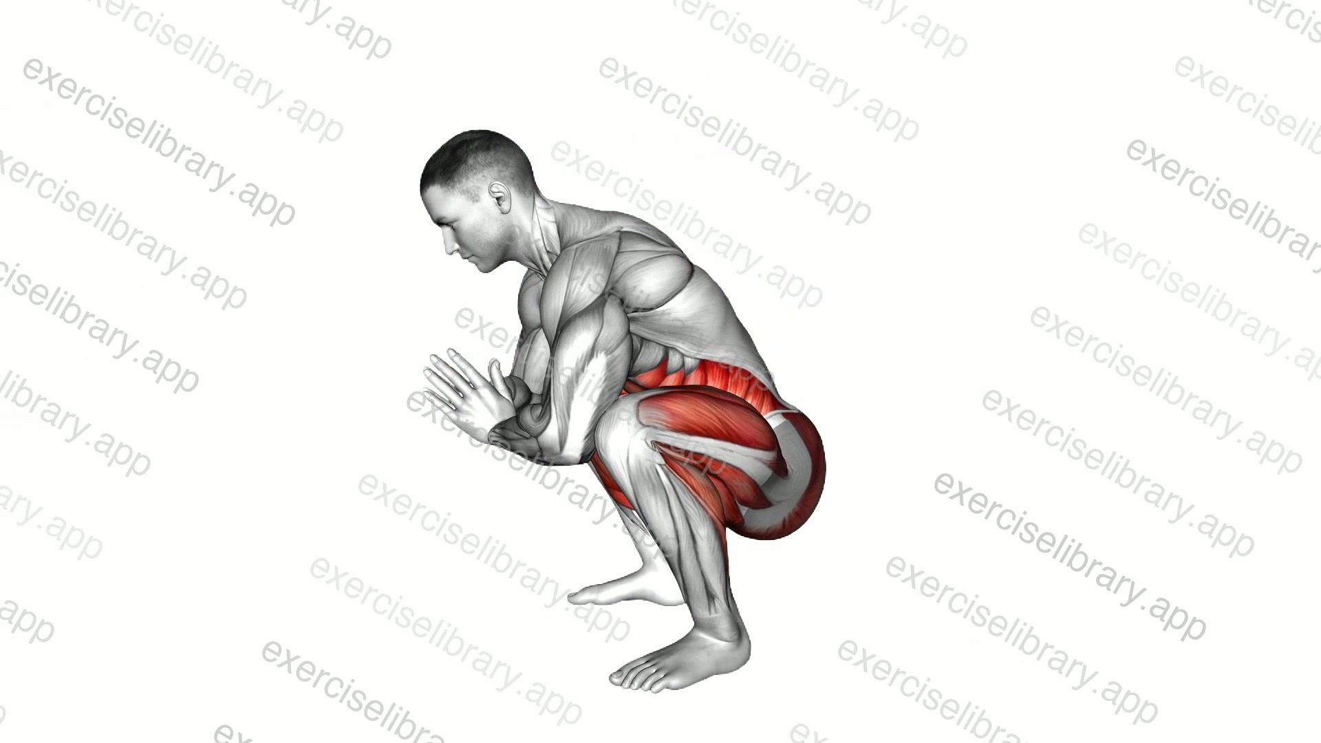Deep Squat Head to Floor demonstration