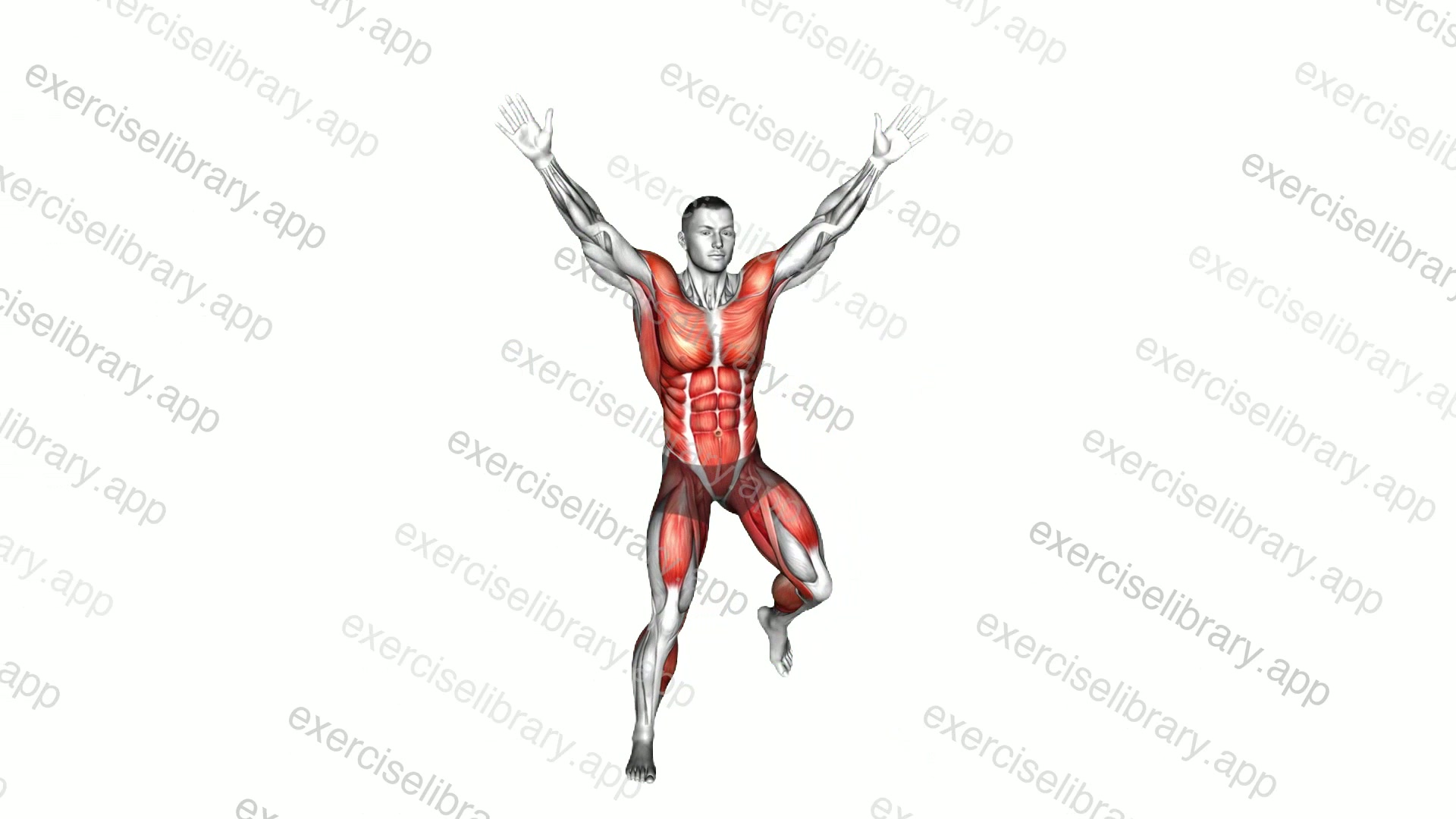 Alternating Hamstring Curl Jack demonstration