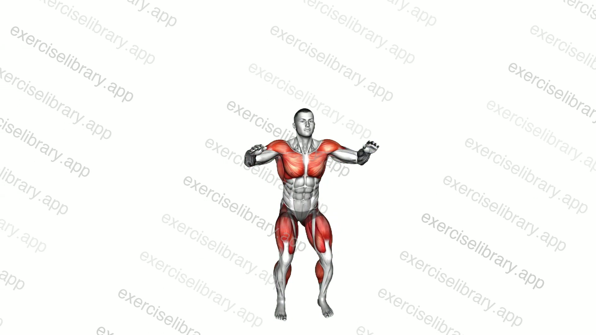 Squat Star Jack demonstration