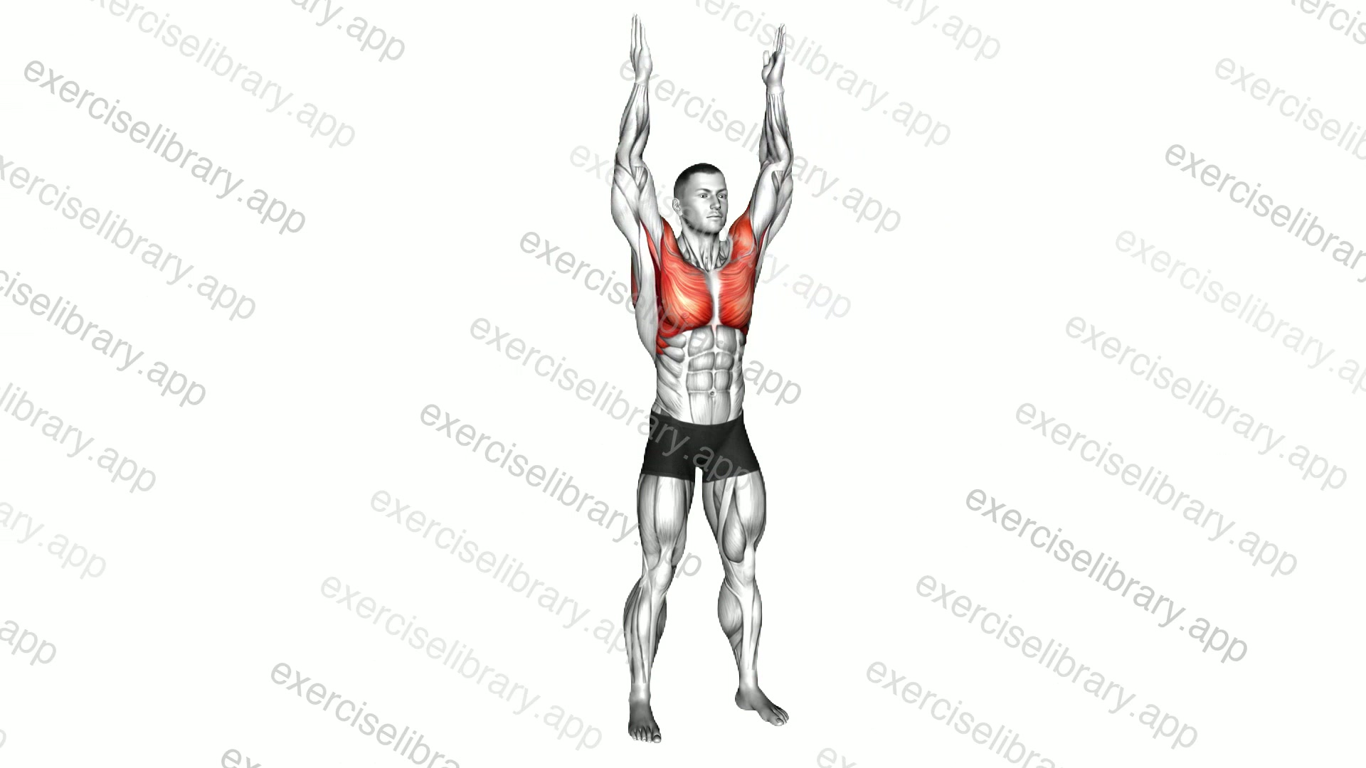 Standing Overhead Claps demonstration