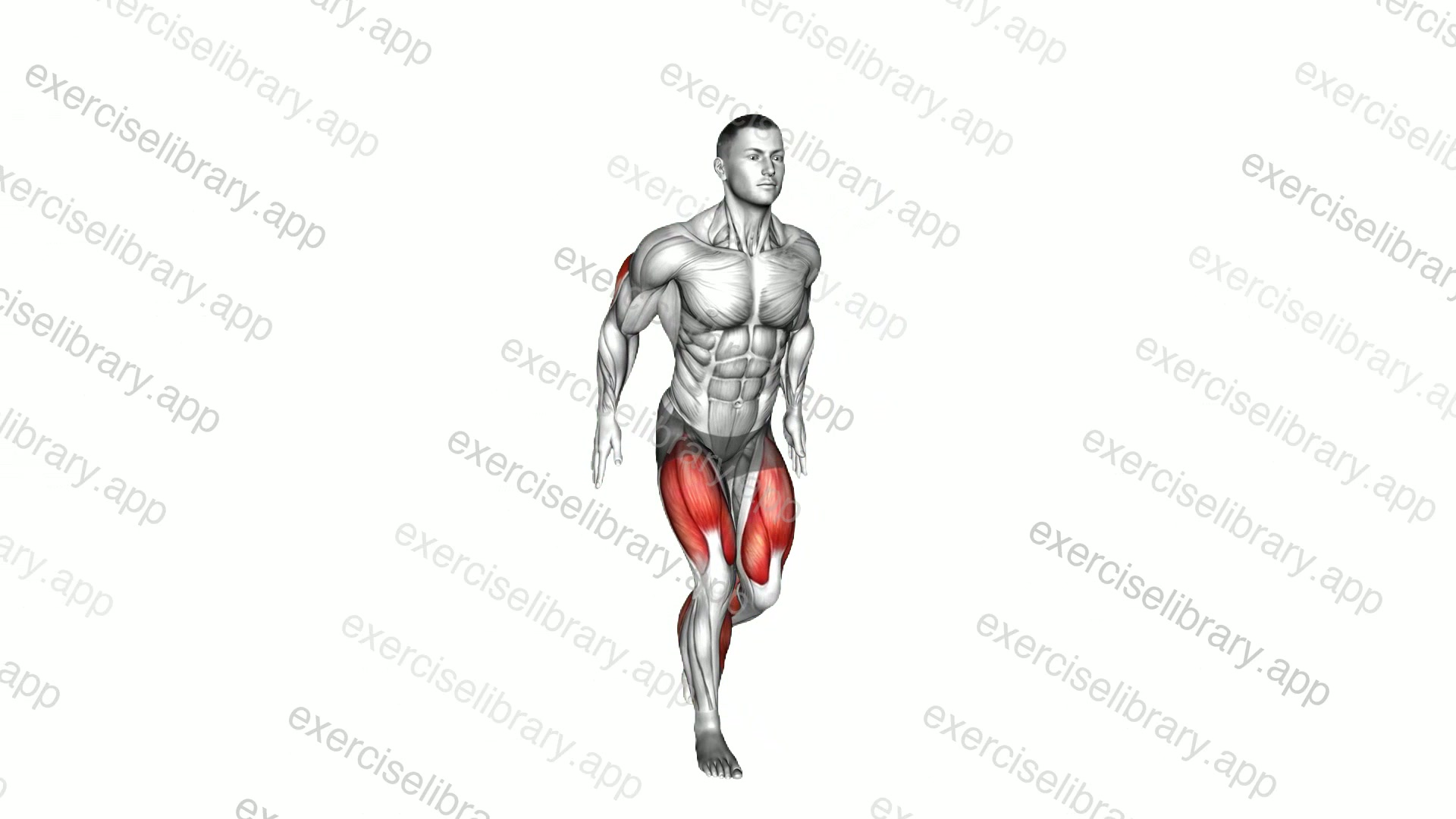 Triceps Extension Stepback demonstration