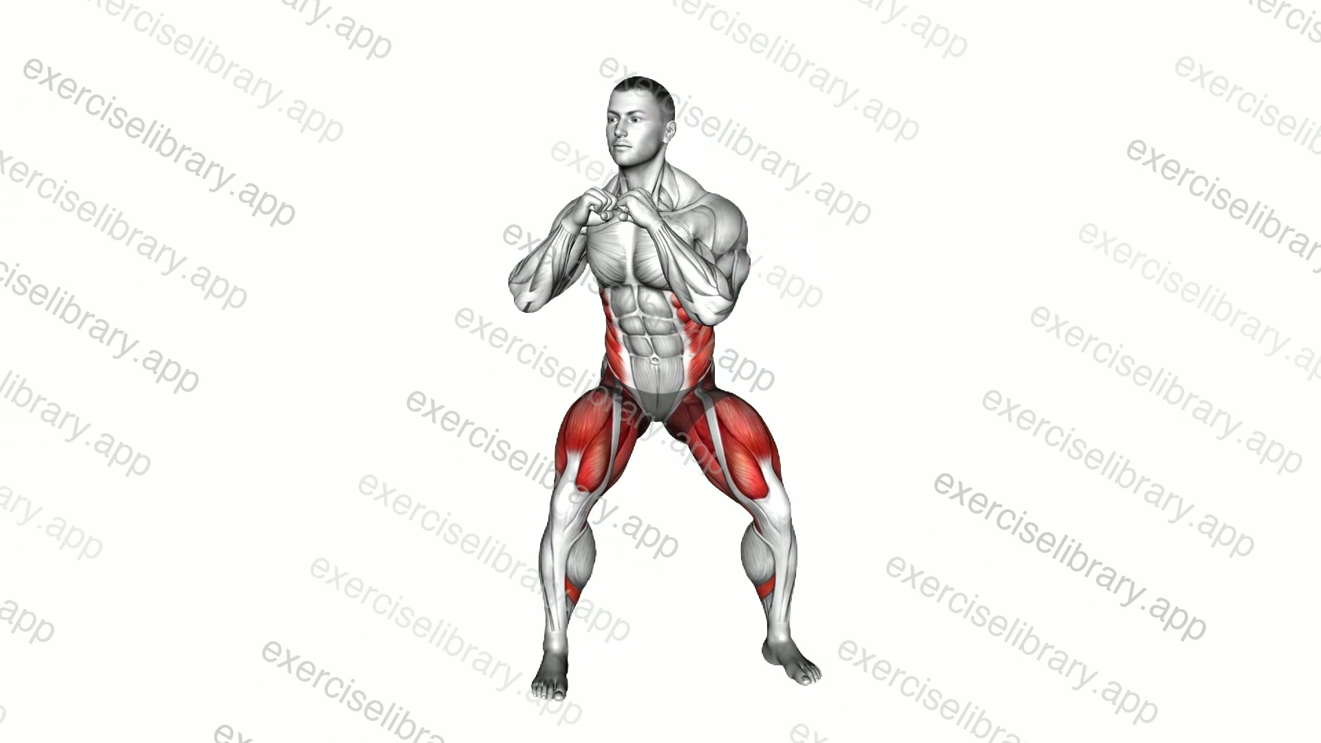 Slight Squat Torso Twist demonstration