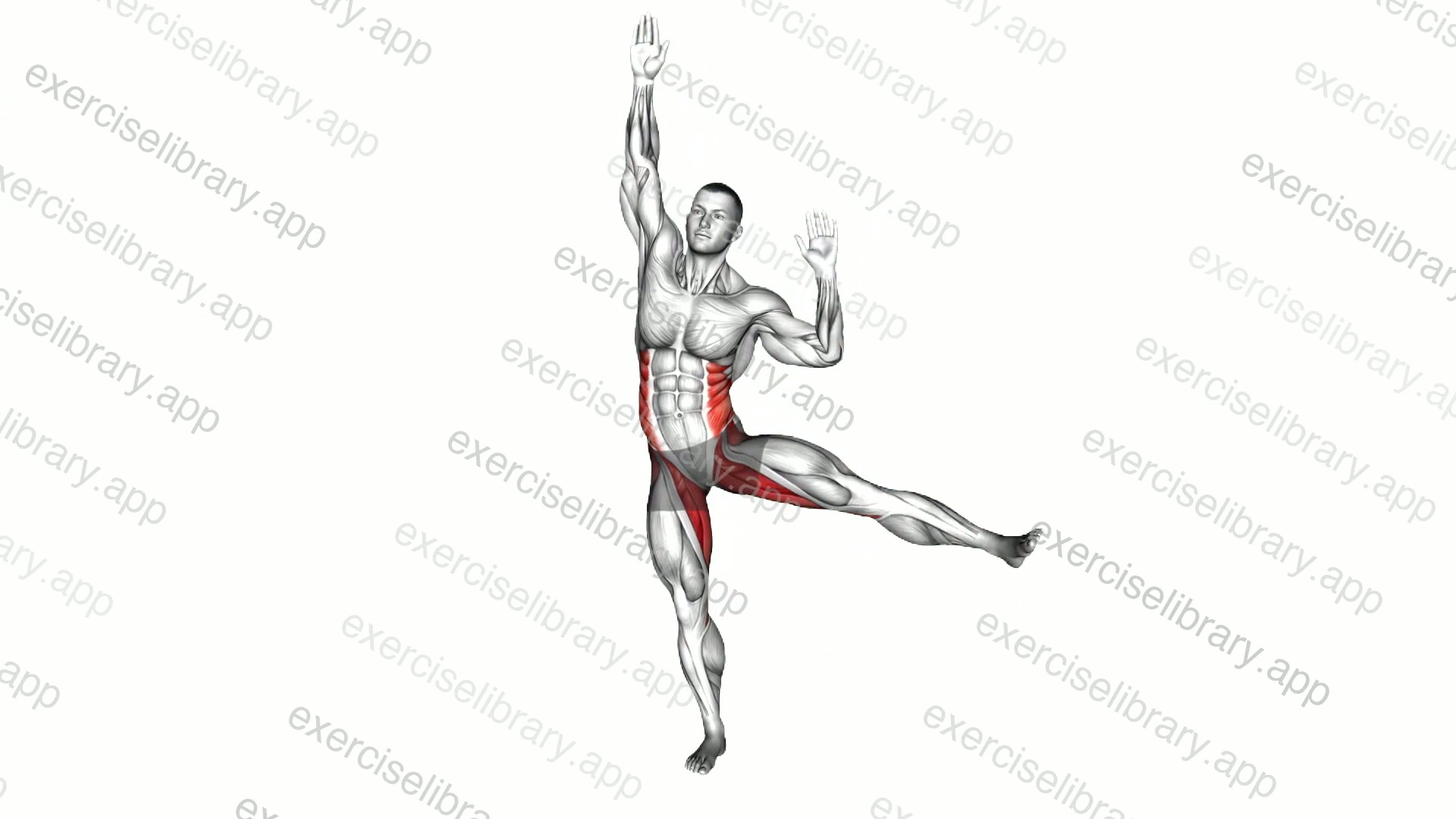 Standing Balance Fist-up Side Leg Raise demonstration