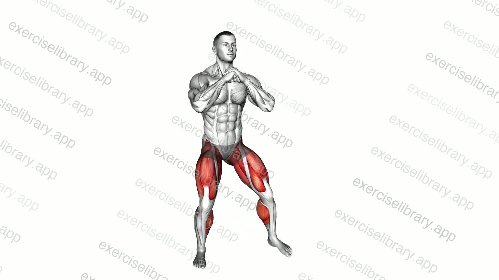 Bodyweight Side Squat Step demonstration