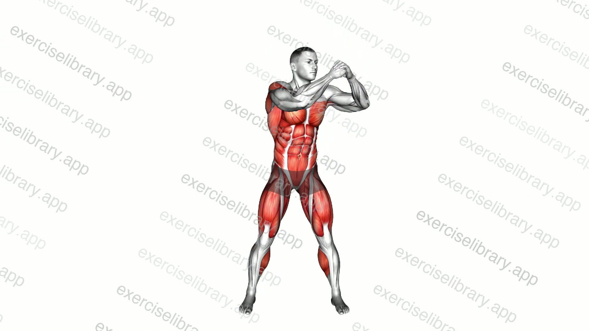 Standing Side Crunch Elbow Drive demonstration