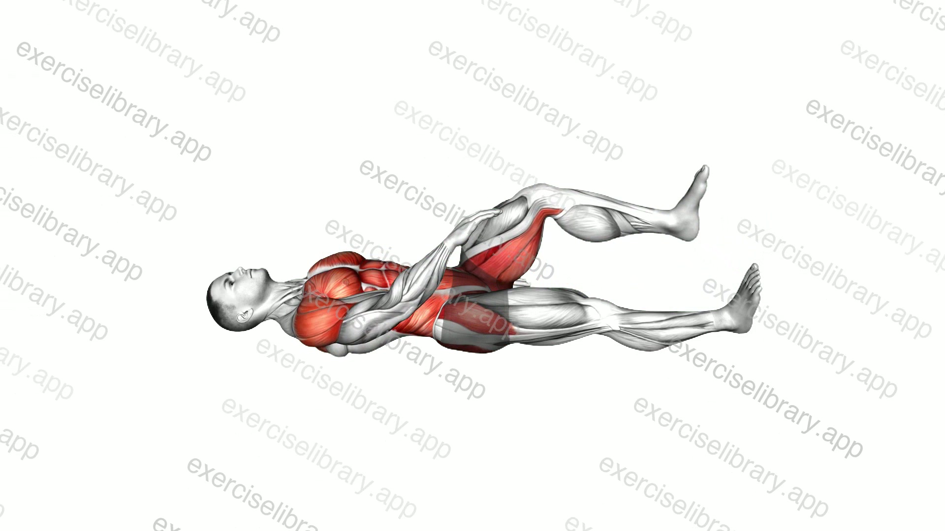 Lying Back Opener demonstration