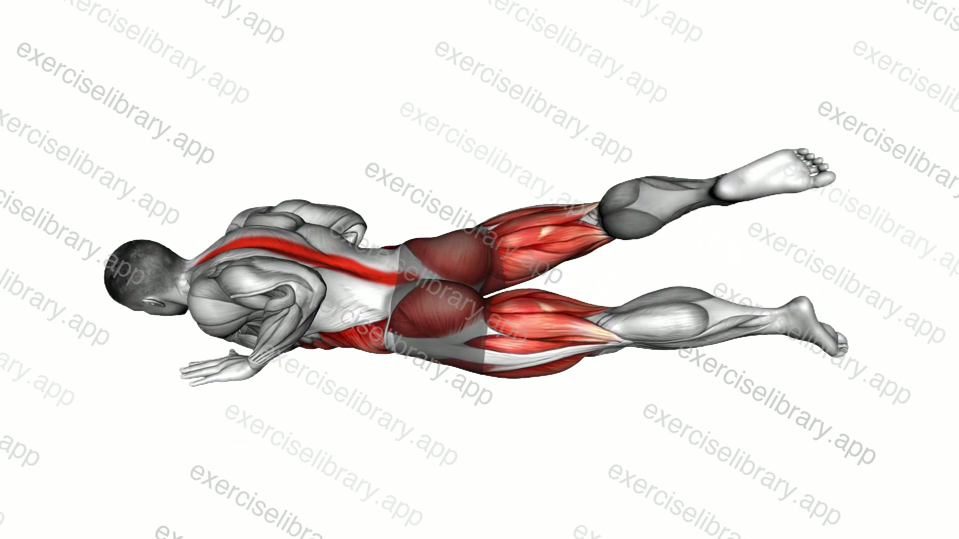 Lying Reverse Twist demonstration