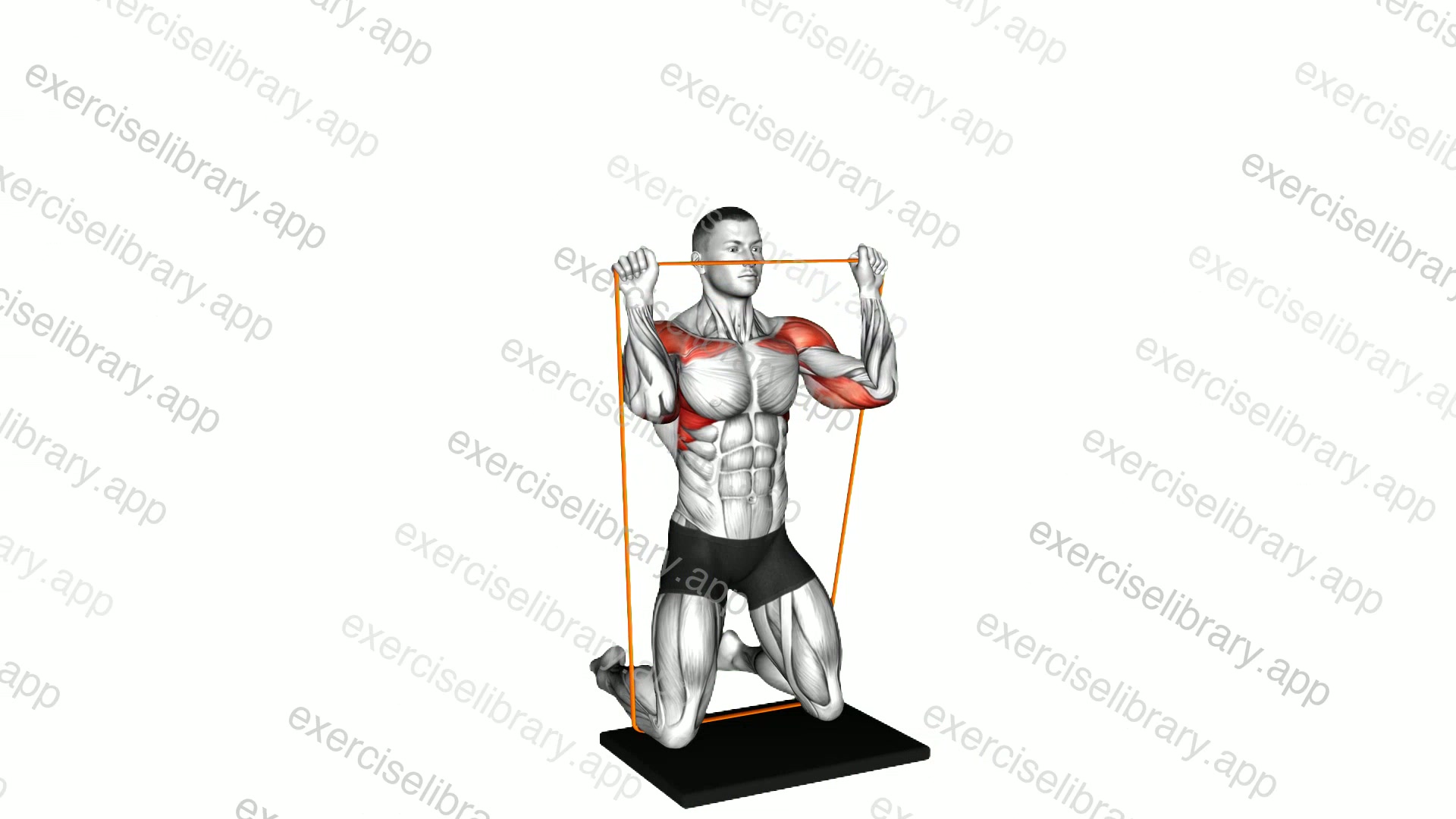 Resistance Band Kneeling Shoulder Press demonstration