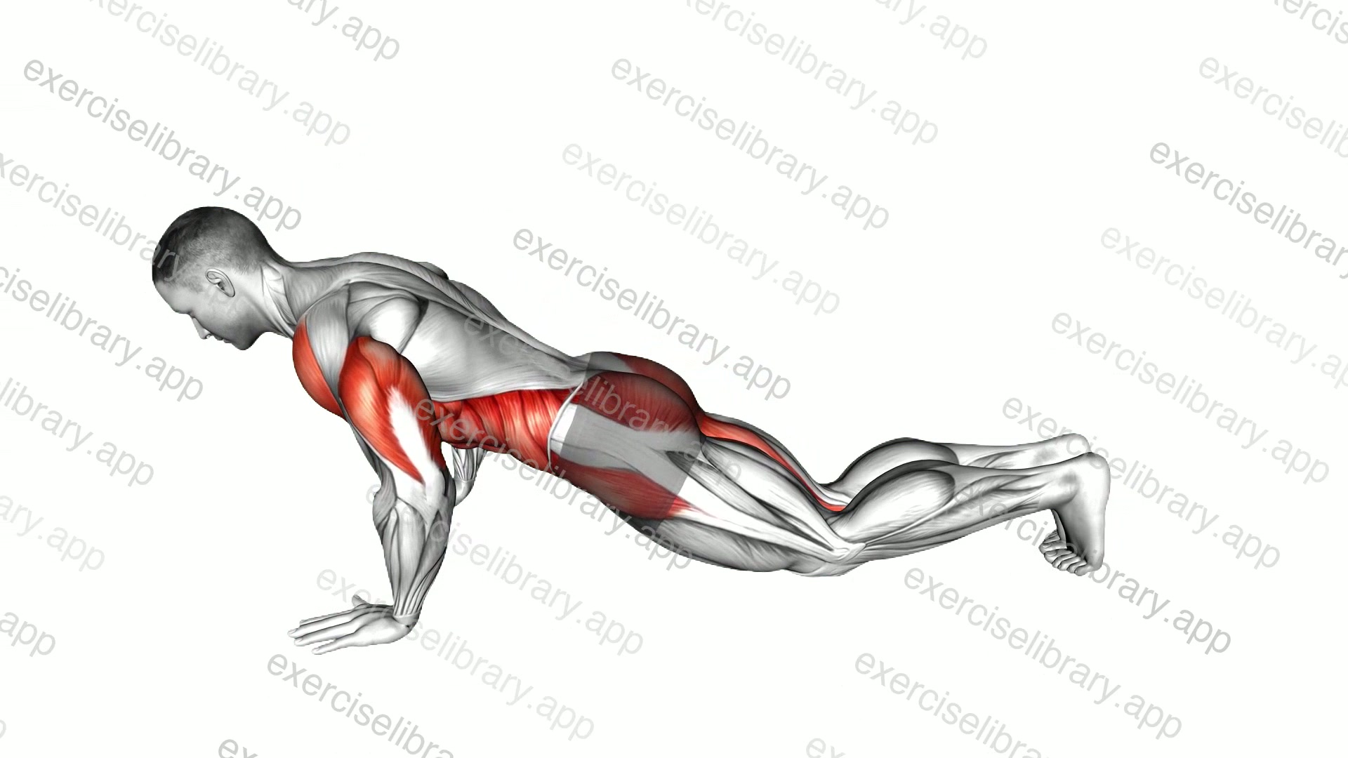 Kneeling Push-up Jack demonstration